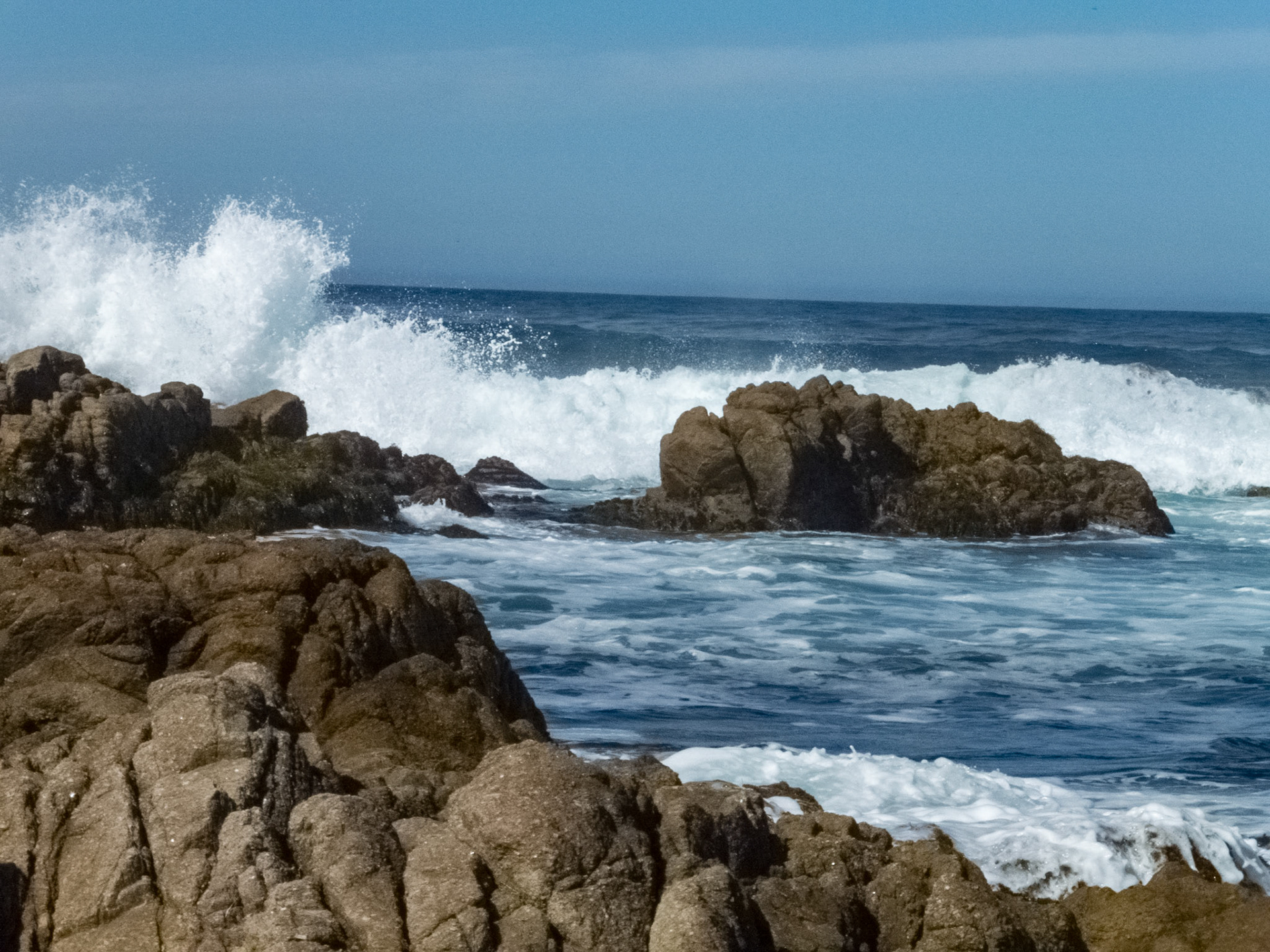 Asilomar State Beach
