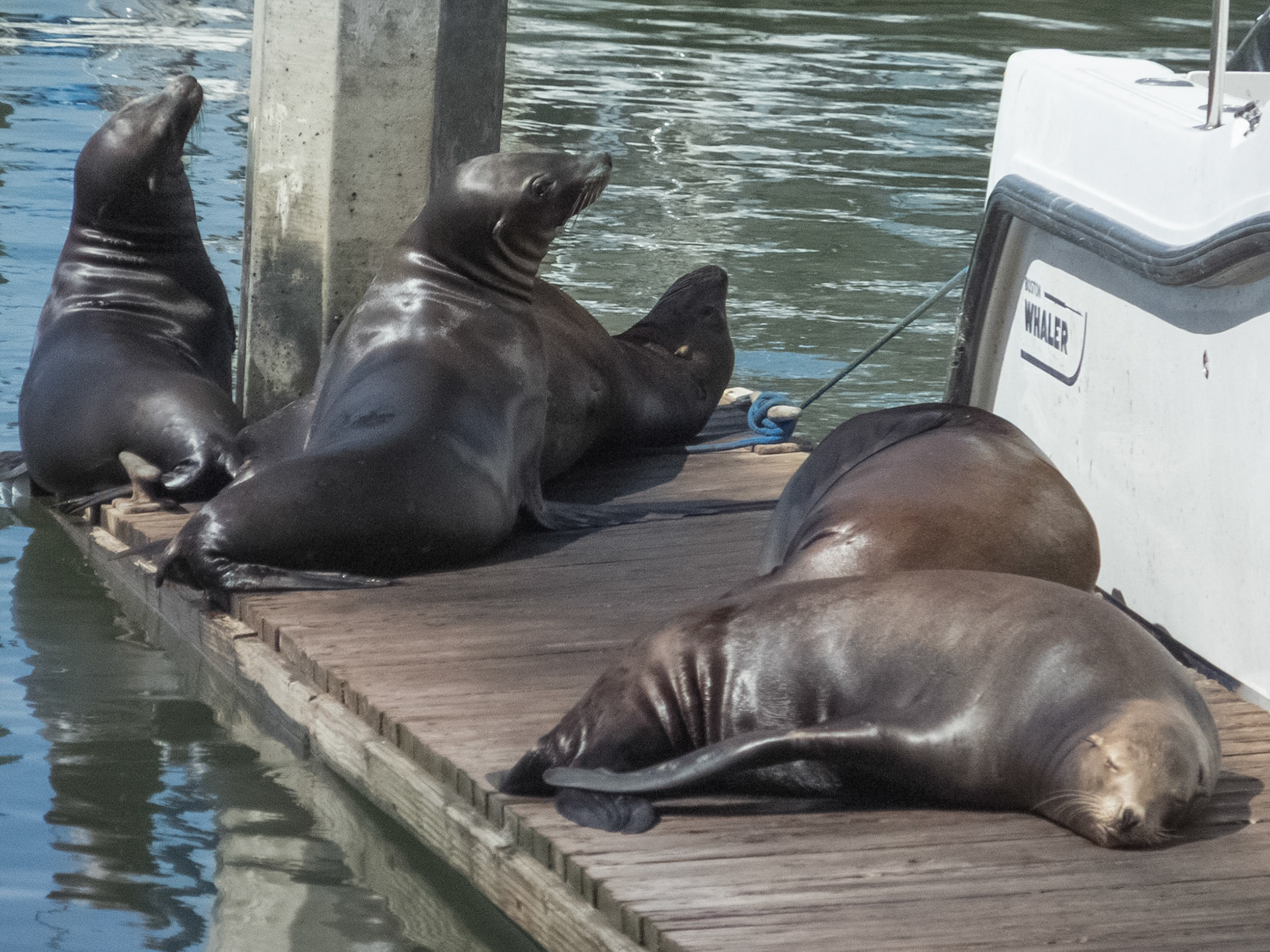 Moss Landing State Beach