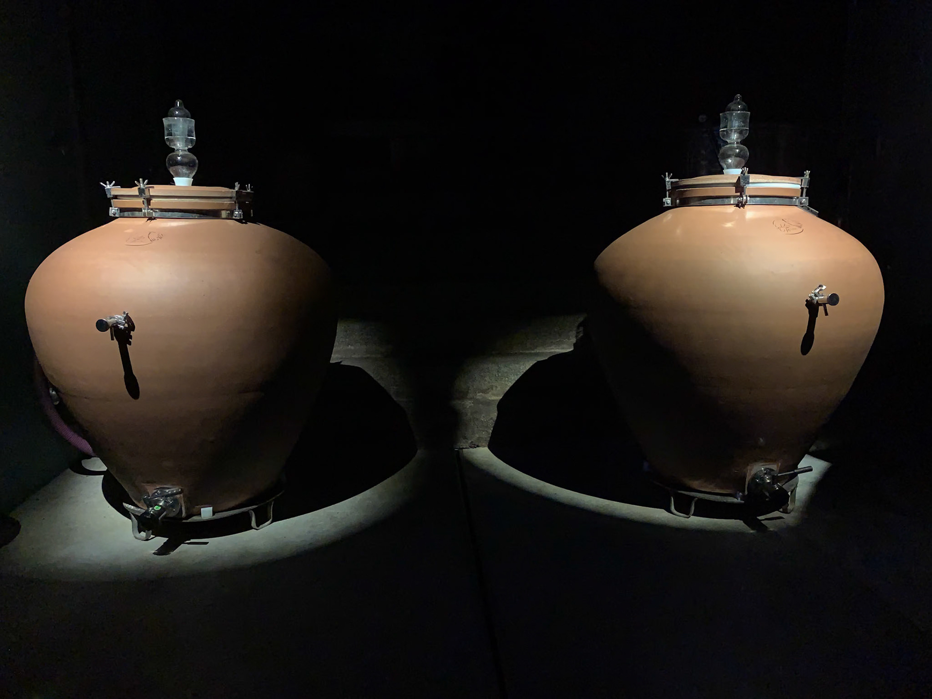 Alsatian Winery Tour