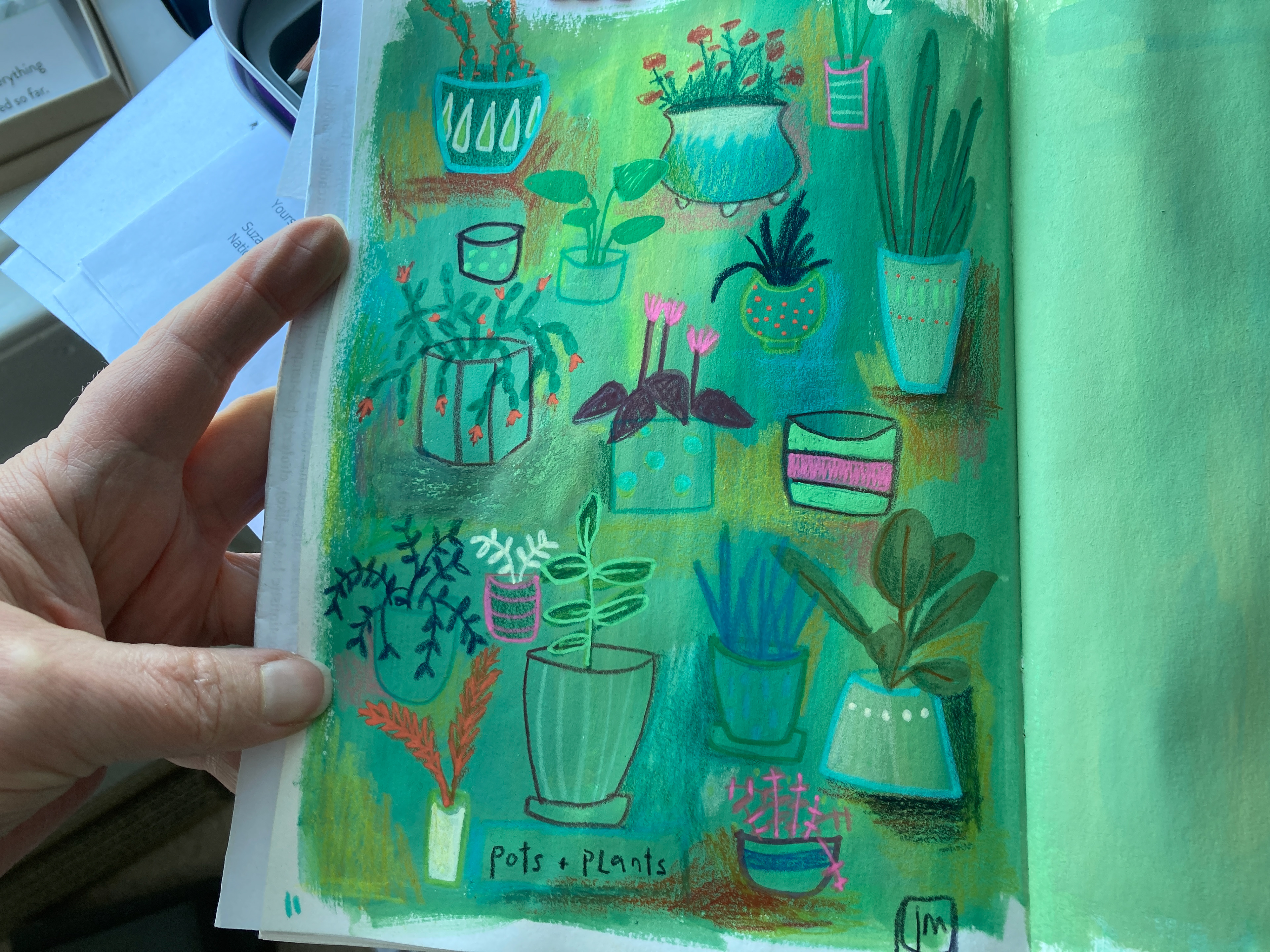 different plant sketches