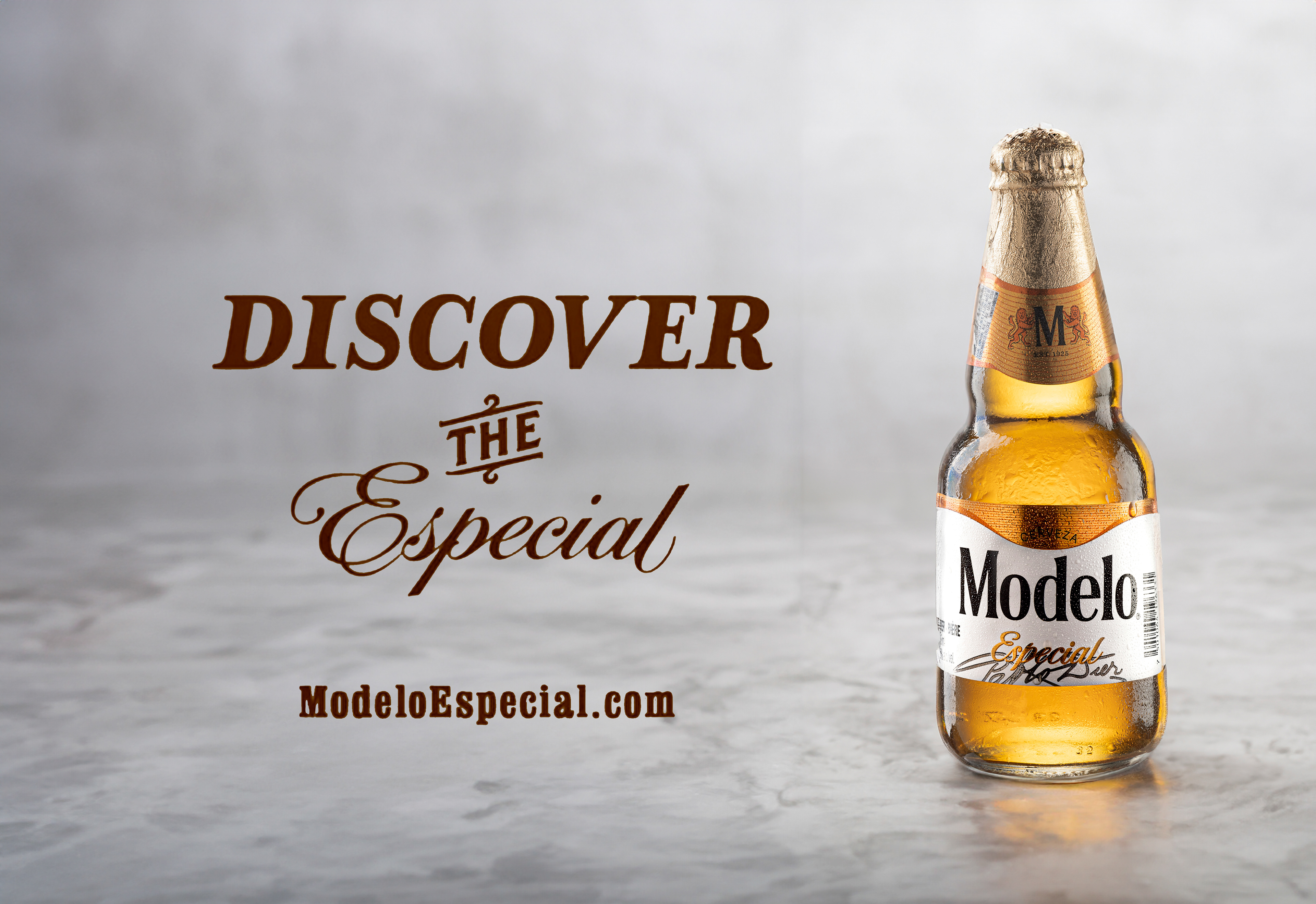 Modelo - Discover the Especial (2024)