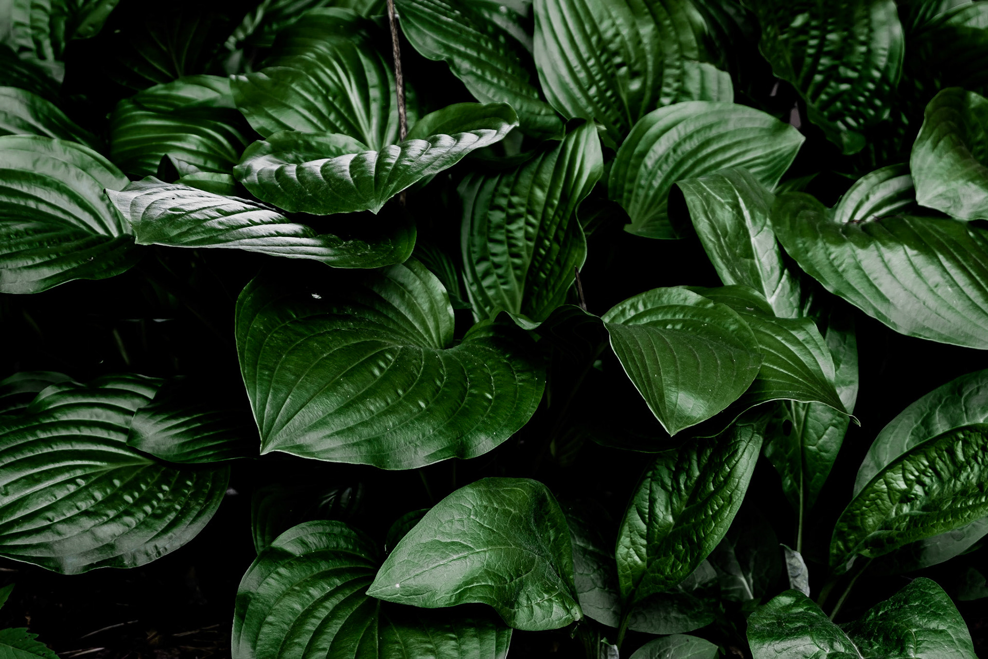 Contrasting Textures