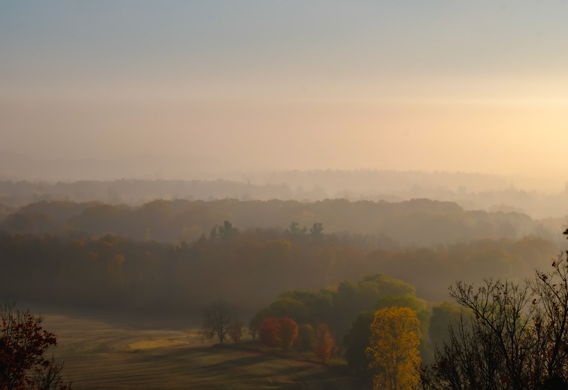 Fall Fog