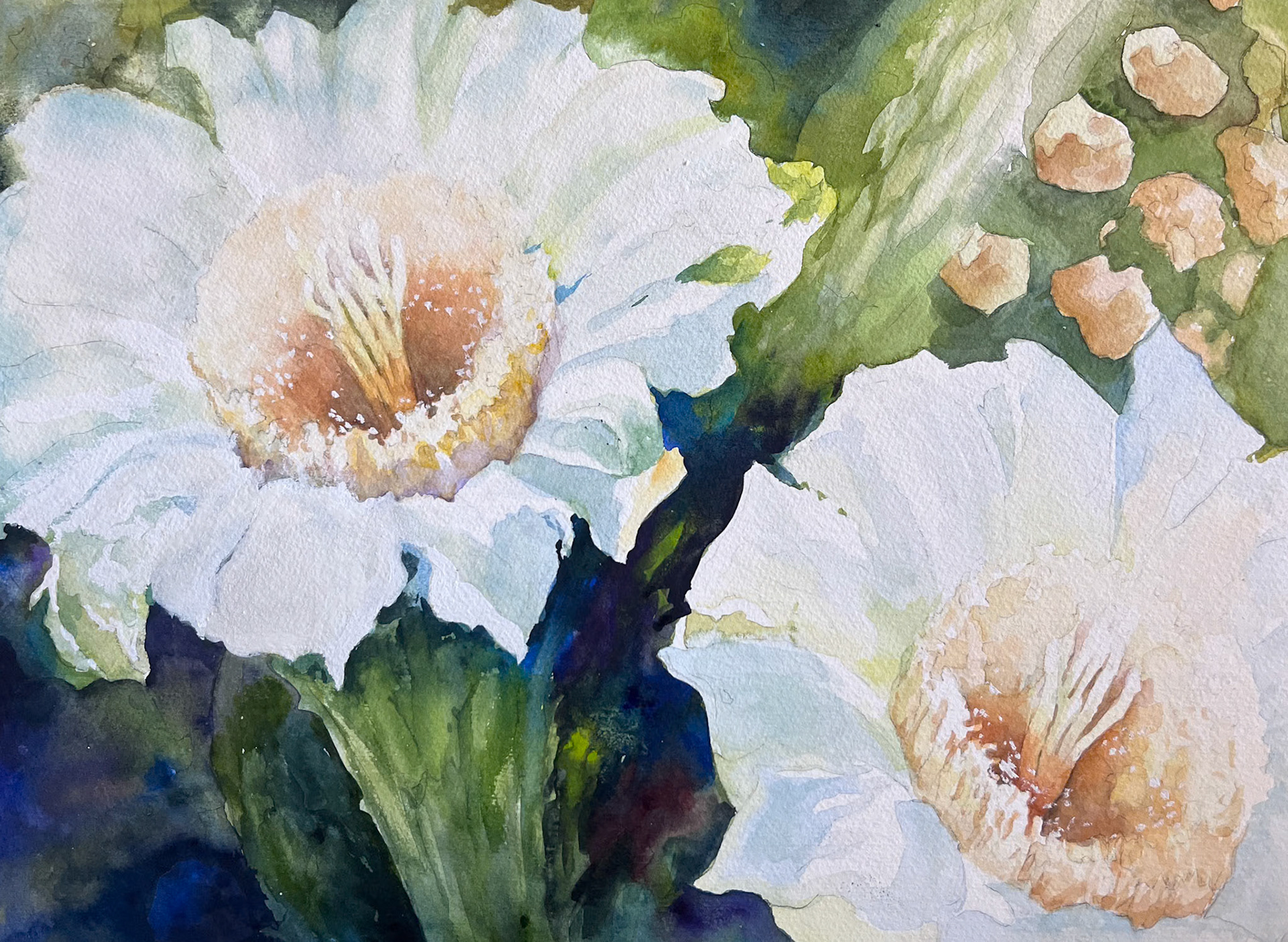 saguaro spring I. original watercolor 11x14. 75.