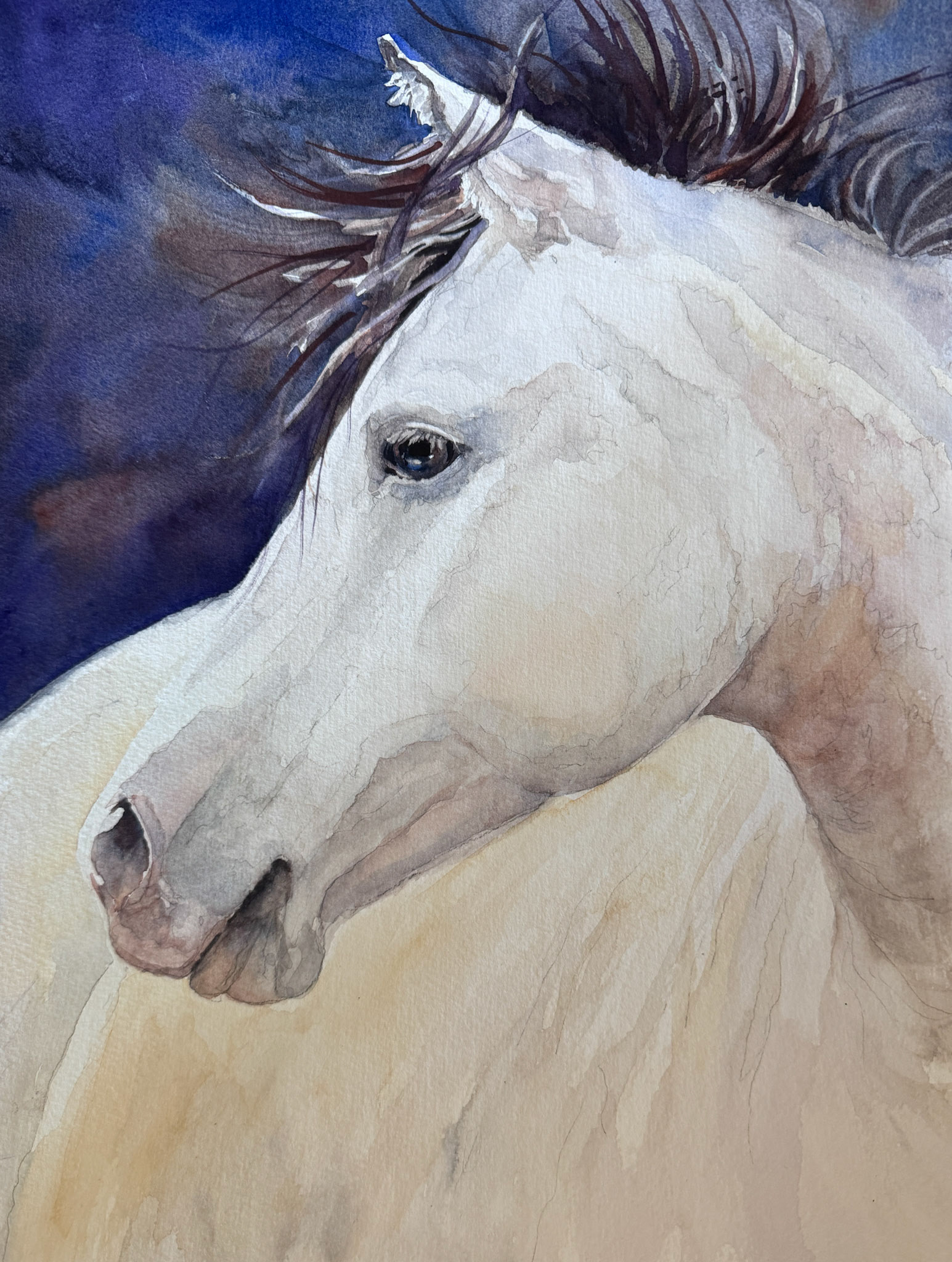 "Bianca" original watercolor 12x15. 150.