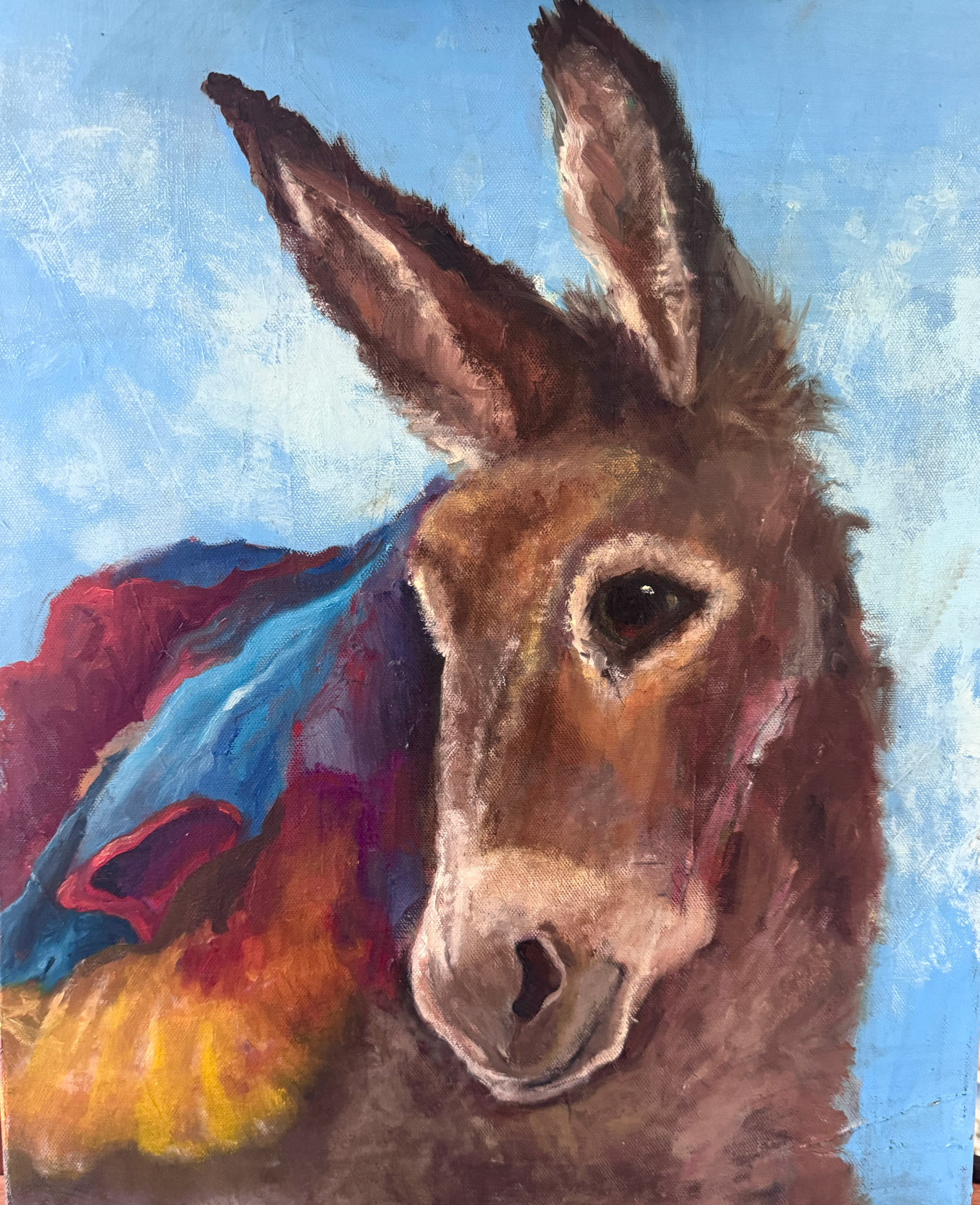 "The eyes have it" oil on canvas. 11x14. 225.