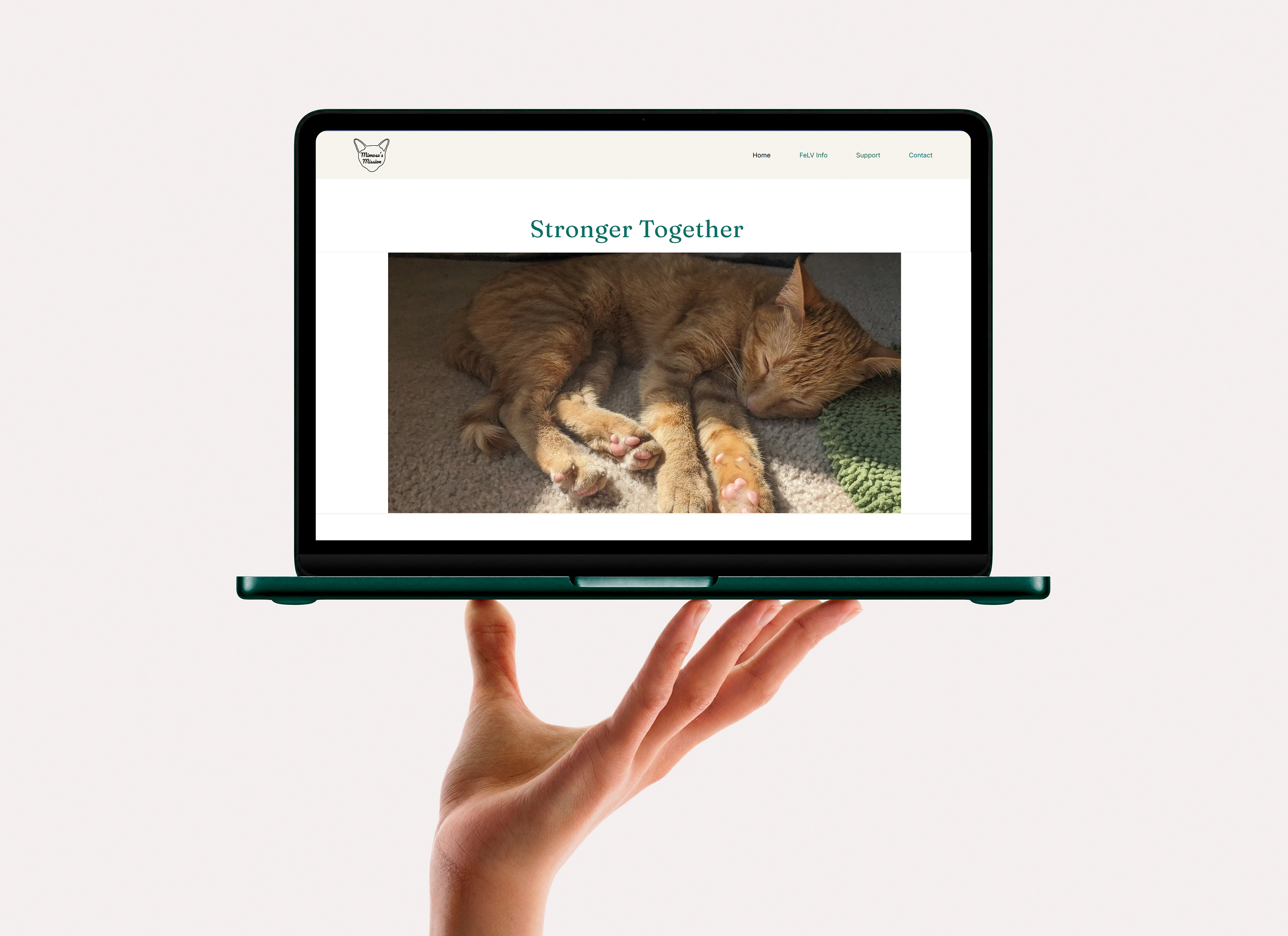Hand Holding Laptop Shoeing Homepage for Mimosa's Mission Website