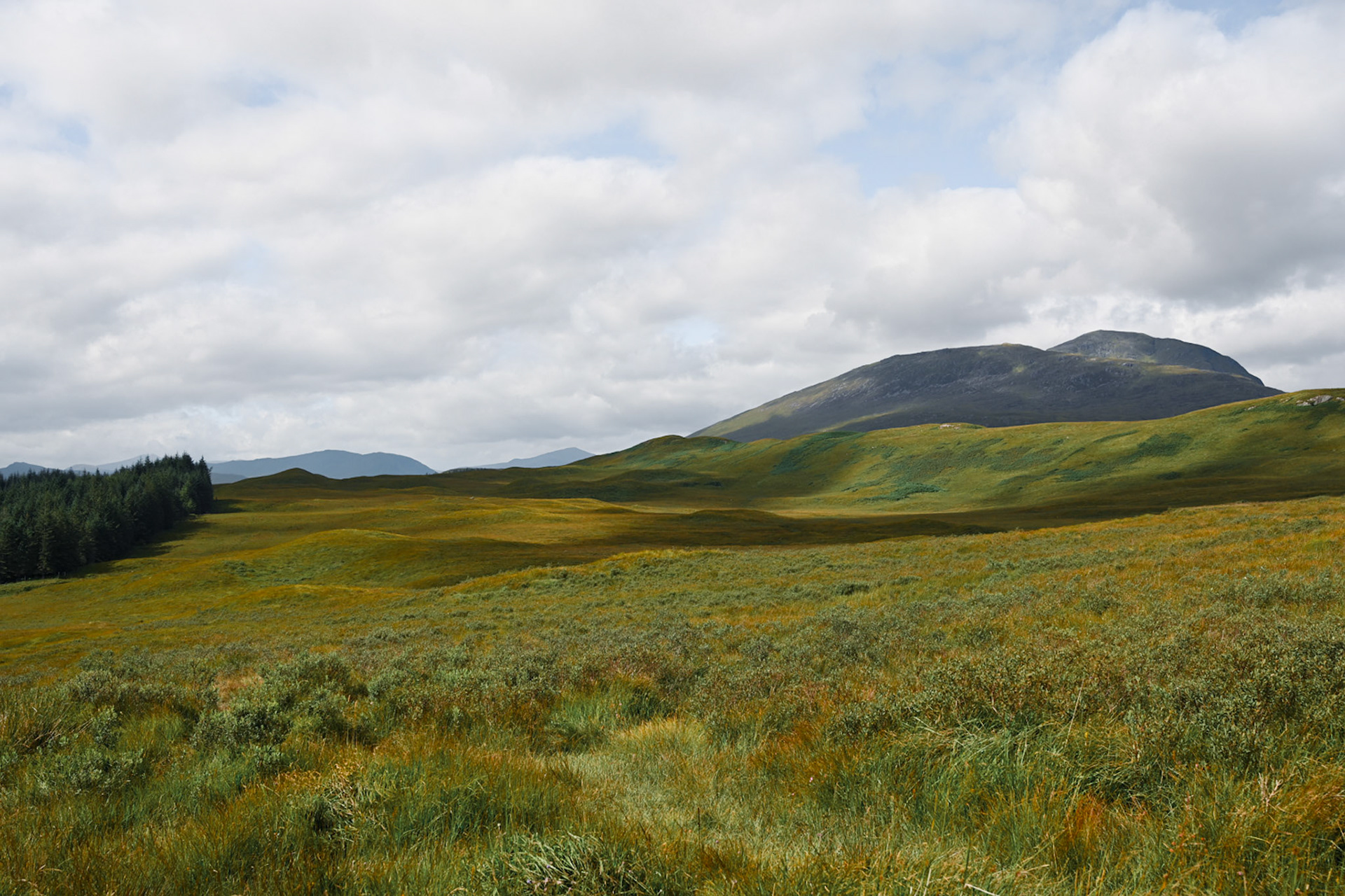 Highland Breath, Scotland, 2024