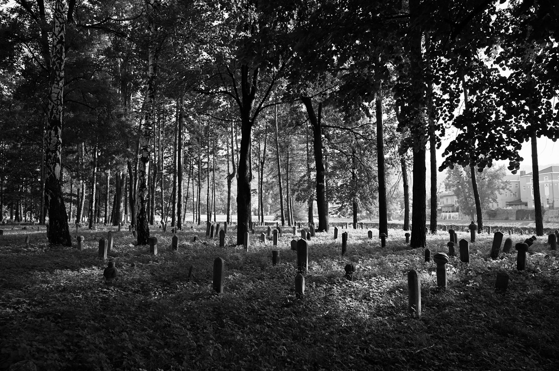 Between Life and Silence, Bosnia and Herzegovina, 2024