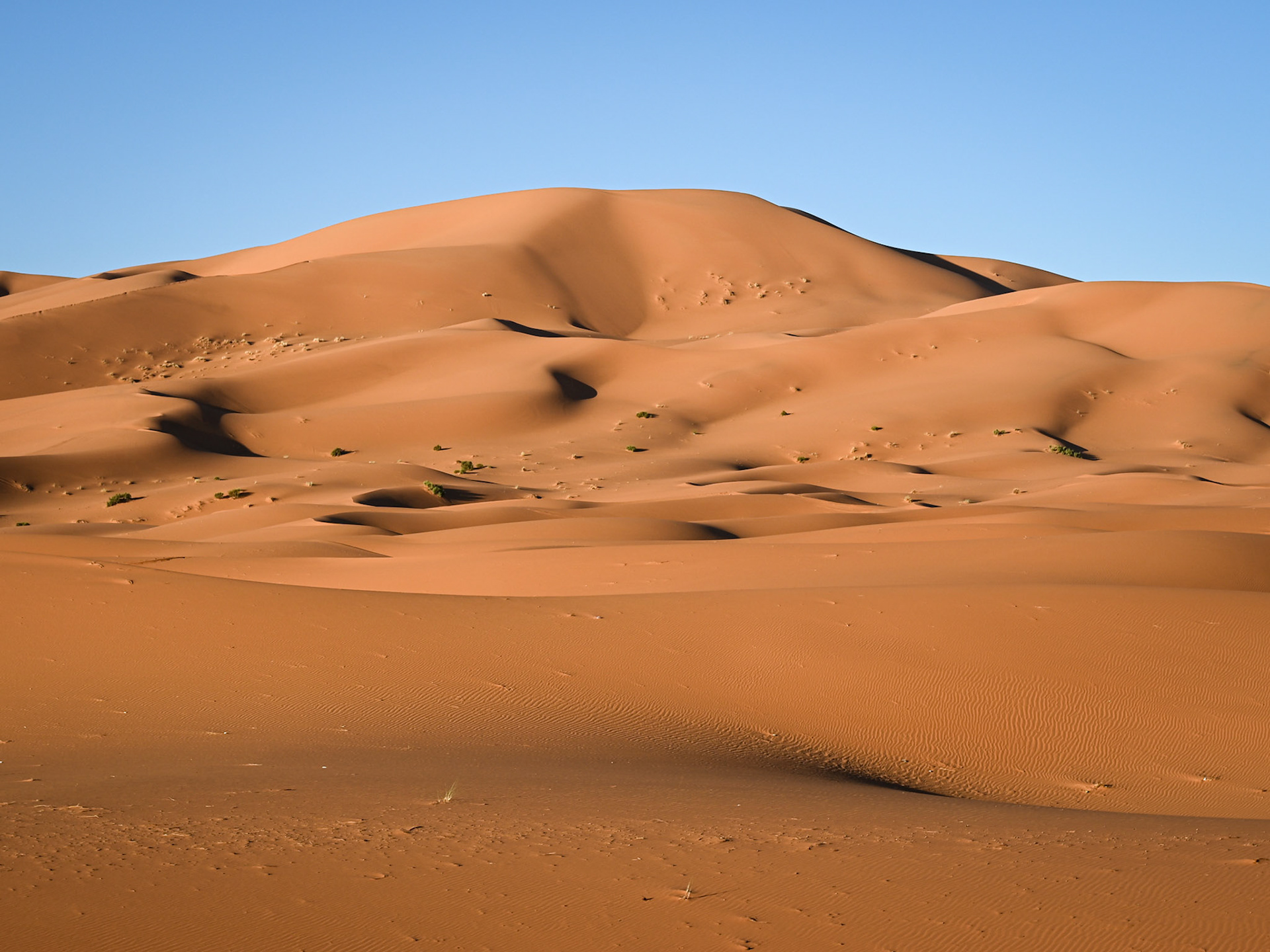 Rhythm of the Sahara, Morocco, 2024