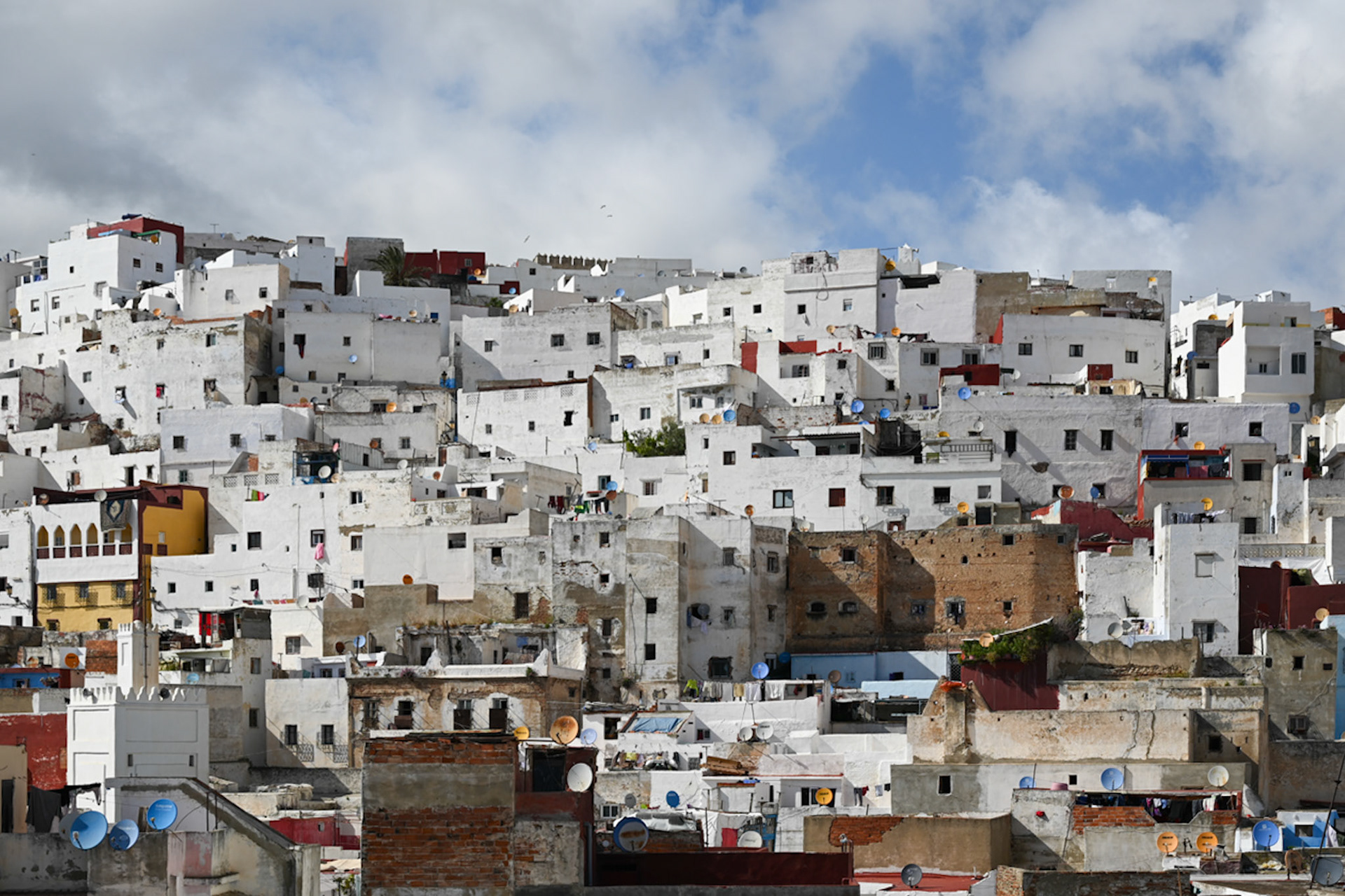 The White Dove, Tetouan, Morocco, 2024