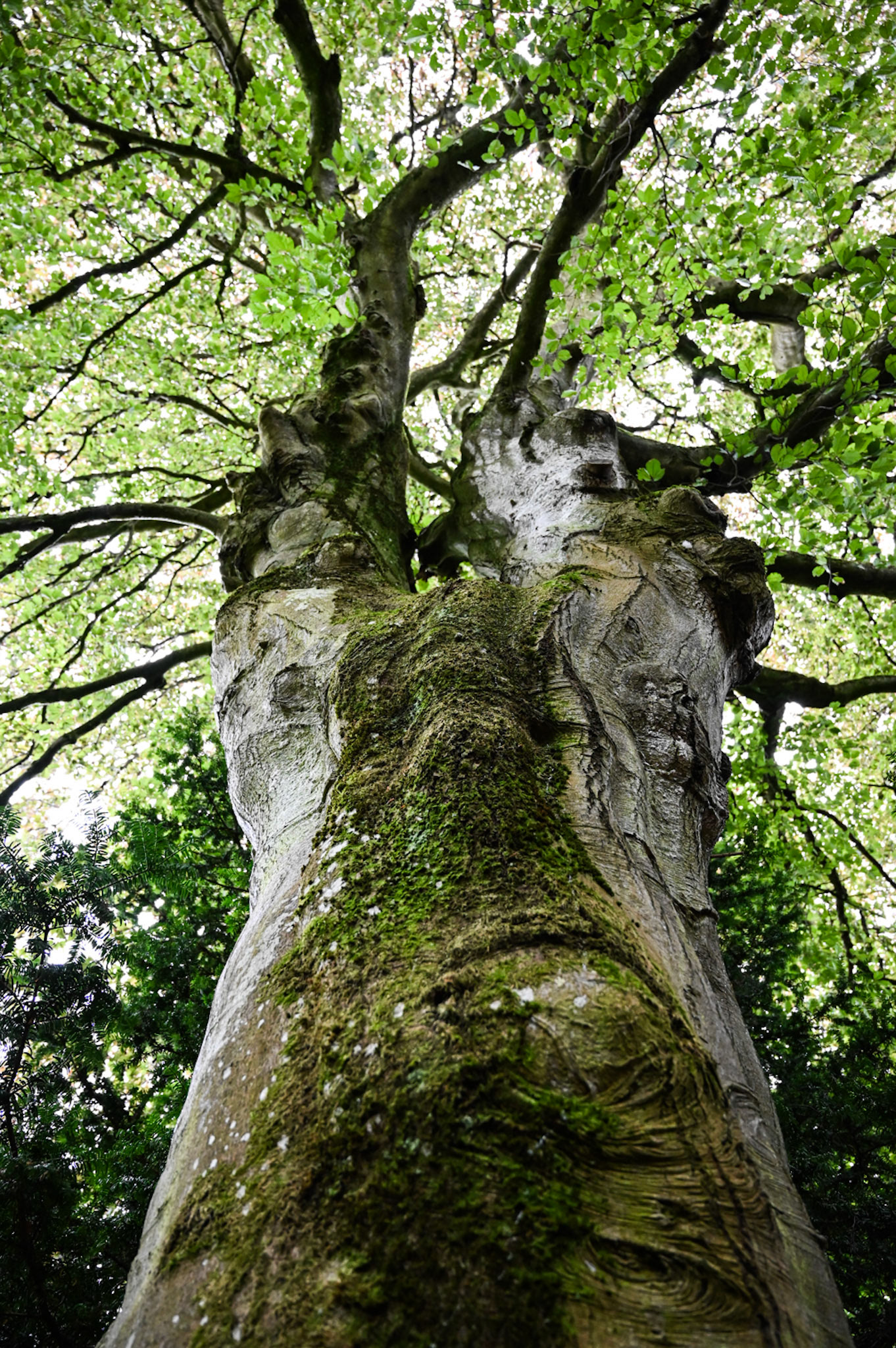 A Place of Solace, 2024