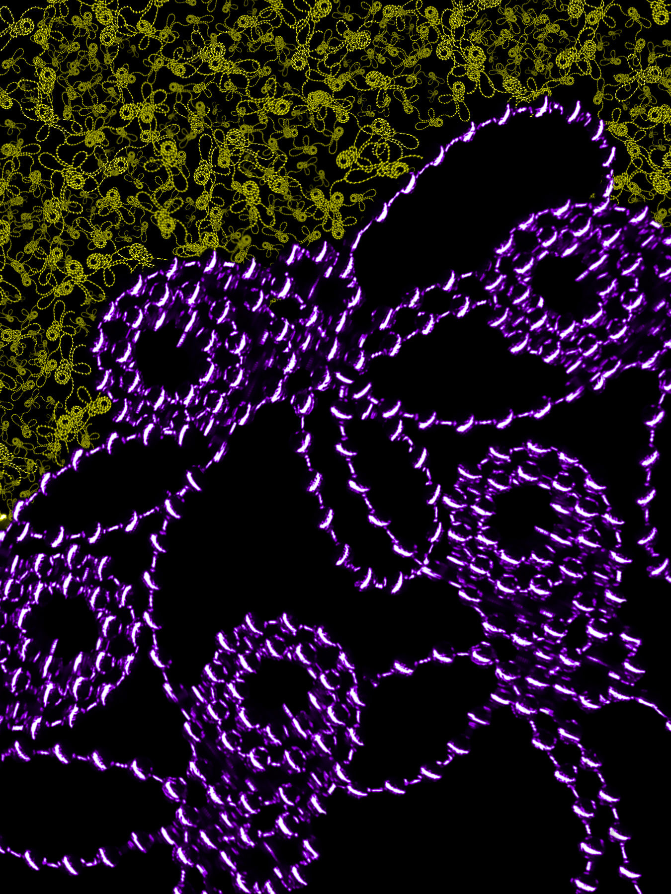 Image made from scanned chain emphasizing contrast