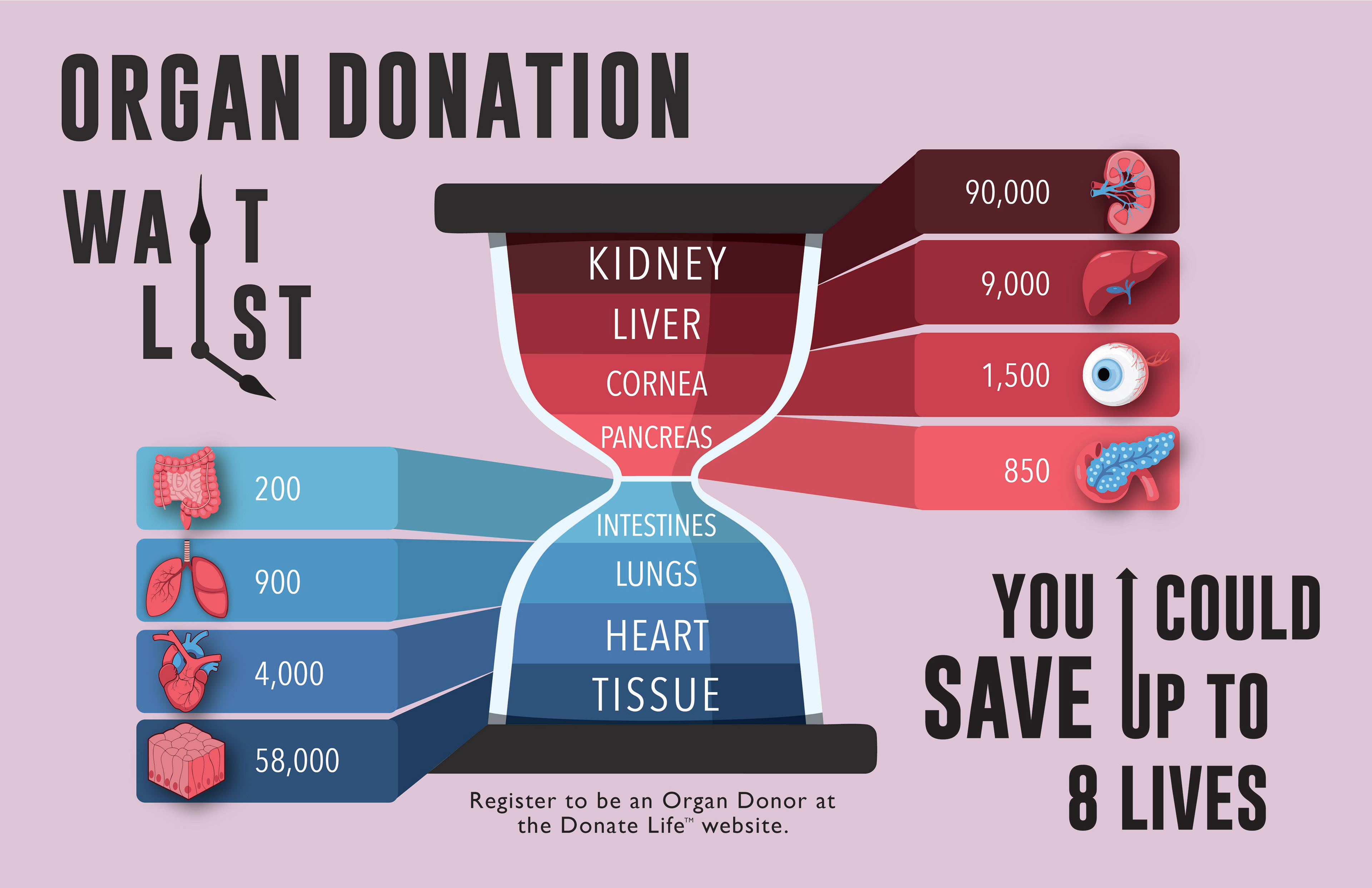 Organ Donation Wait List