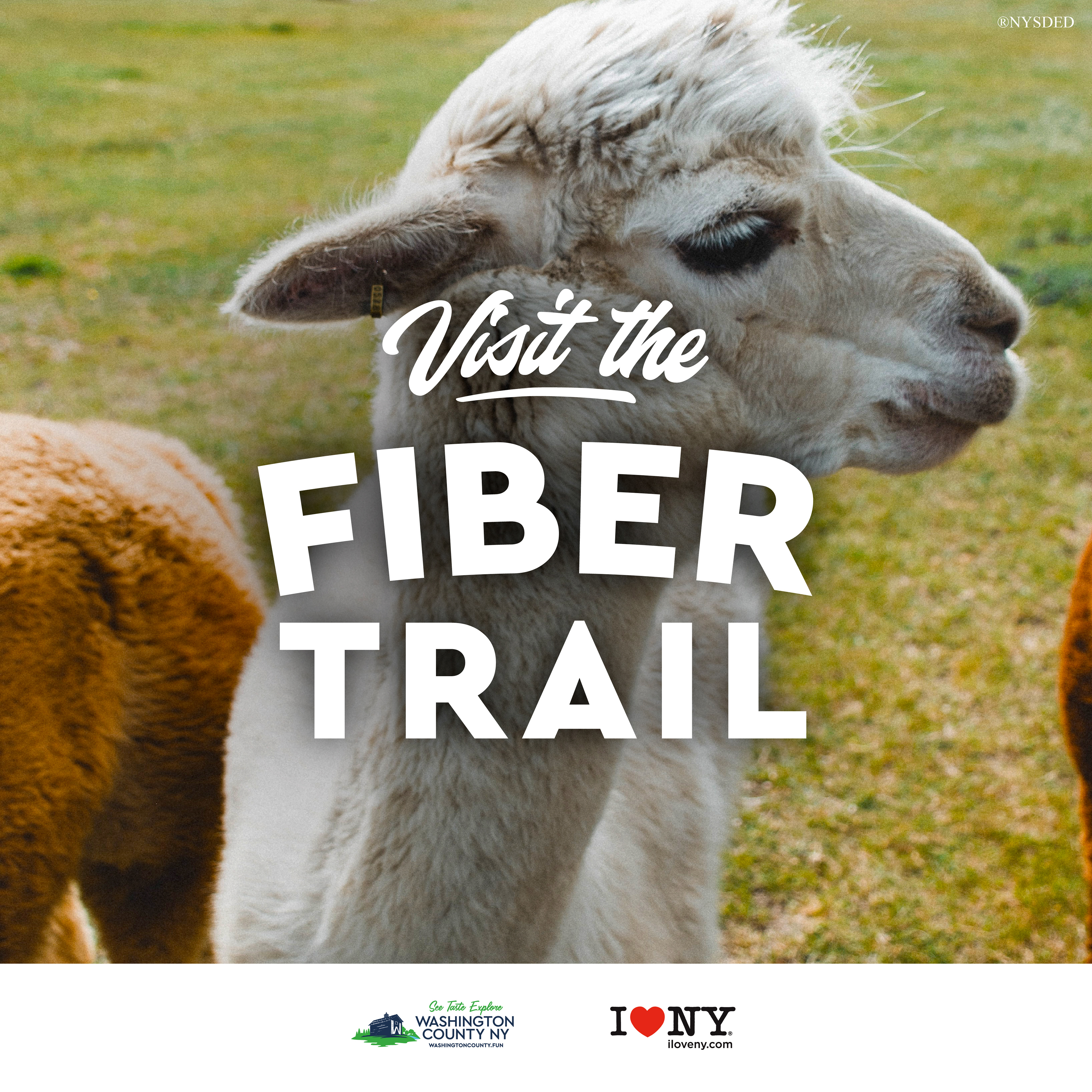 iHeartNY Washington Trail Ad - Adobe Photoshop