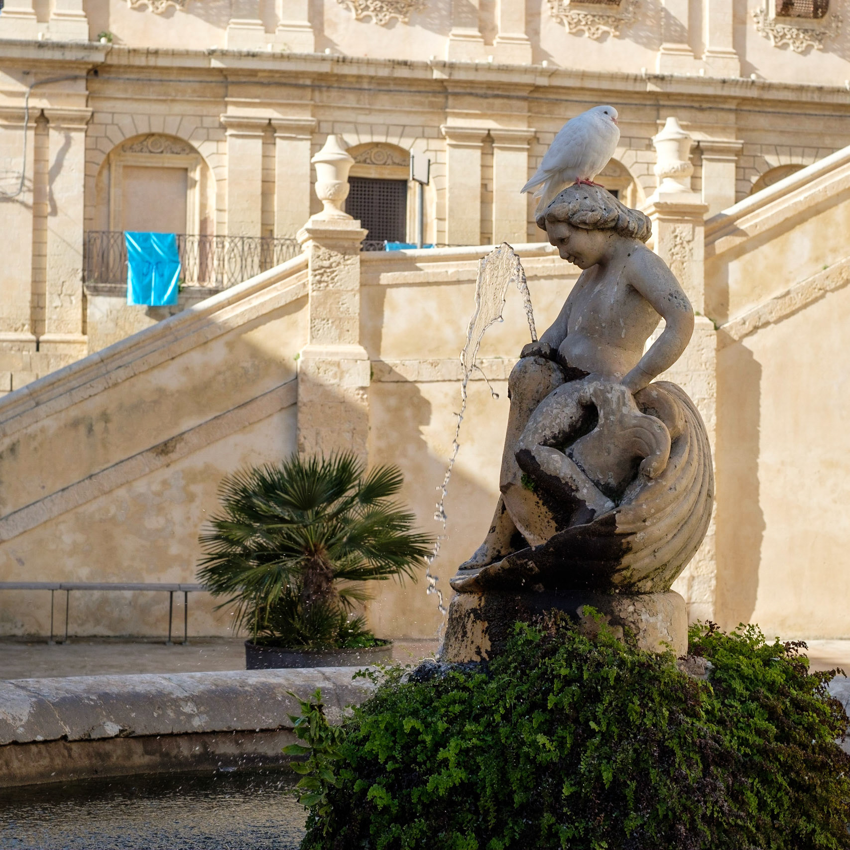 Baroque, blue and bird, Noto