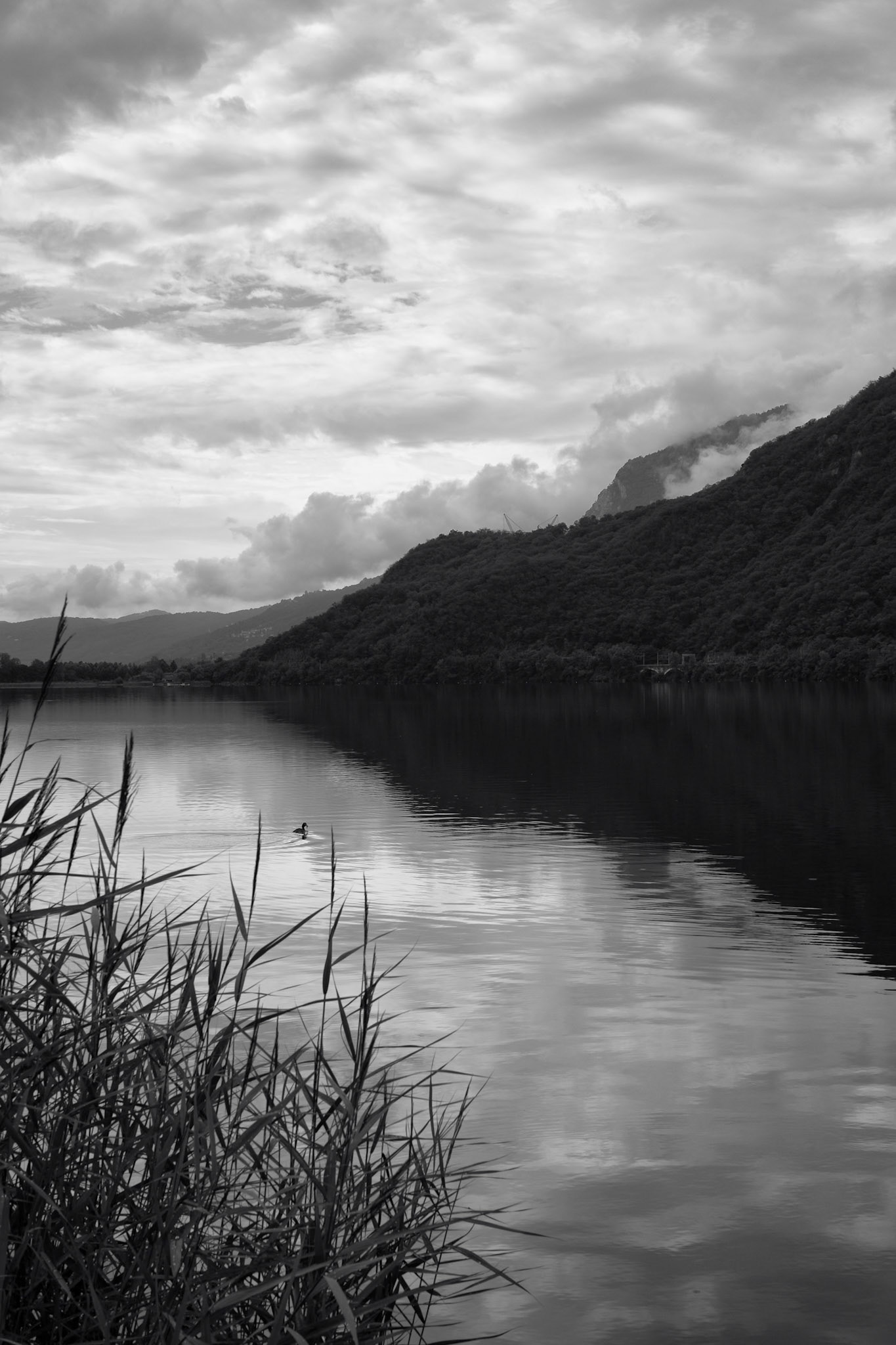 Lake Mergozzo, 1014.