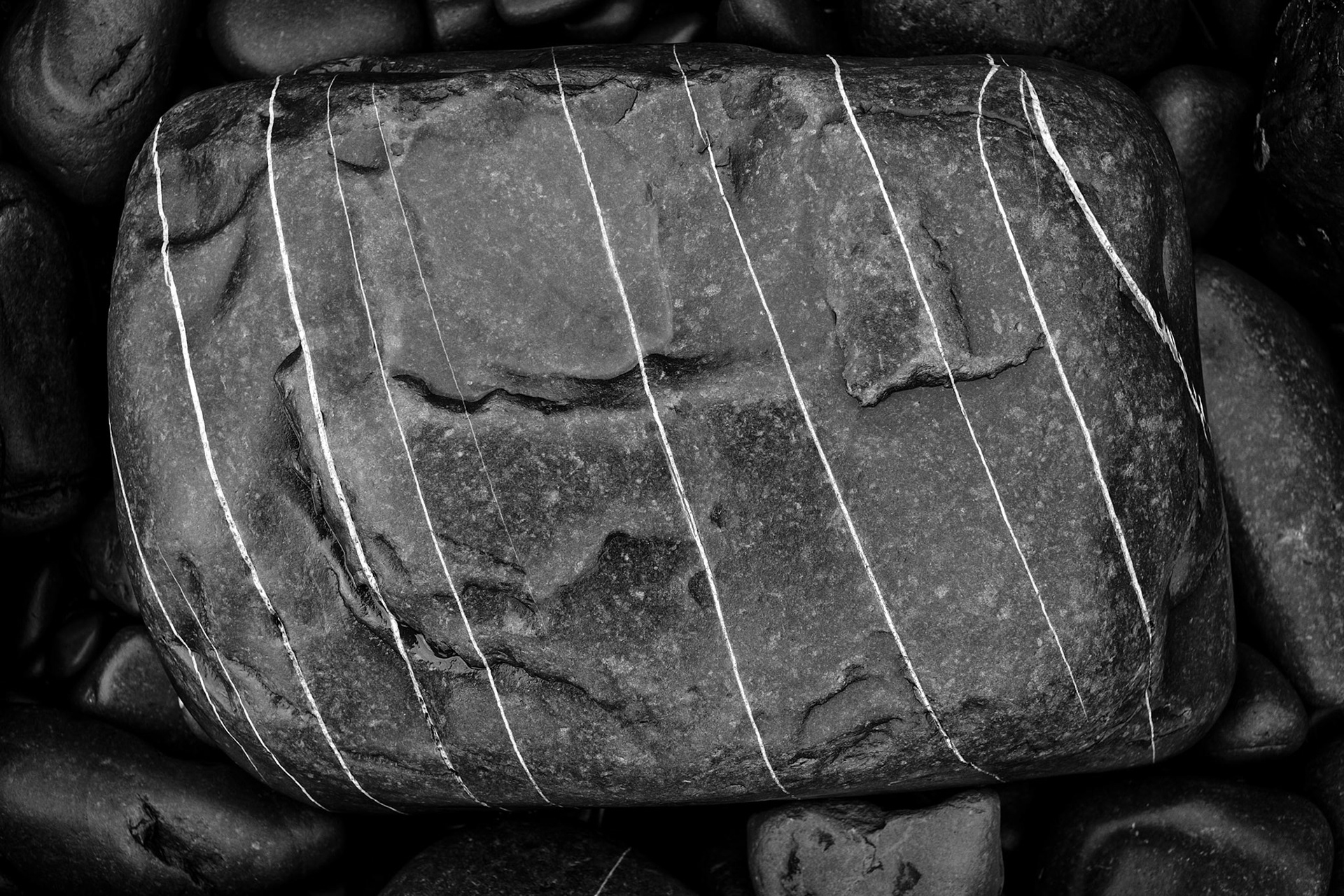Clovelly beach, 2016.