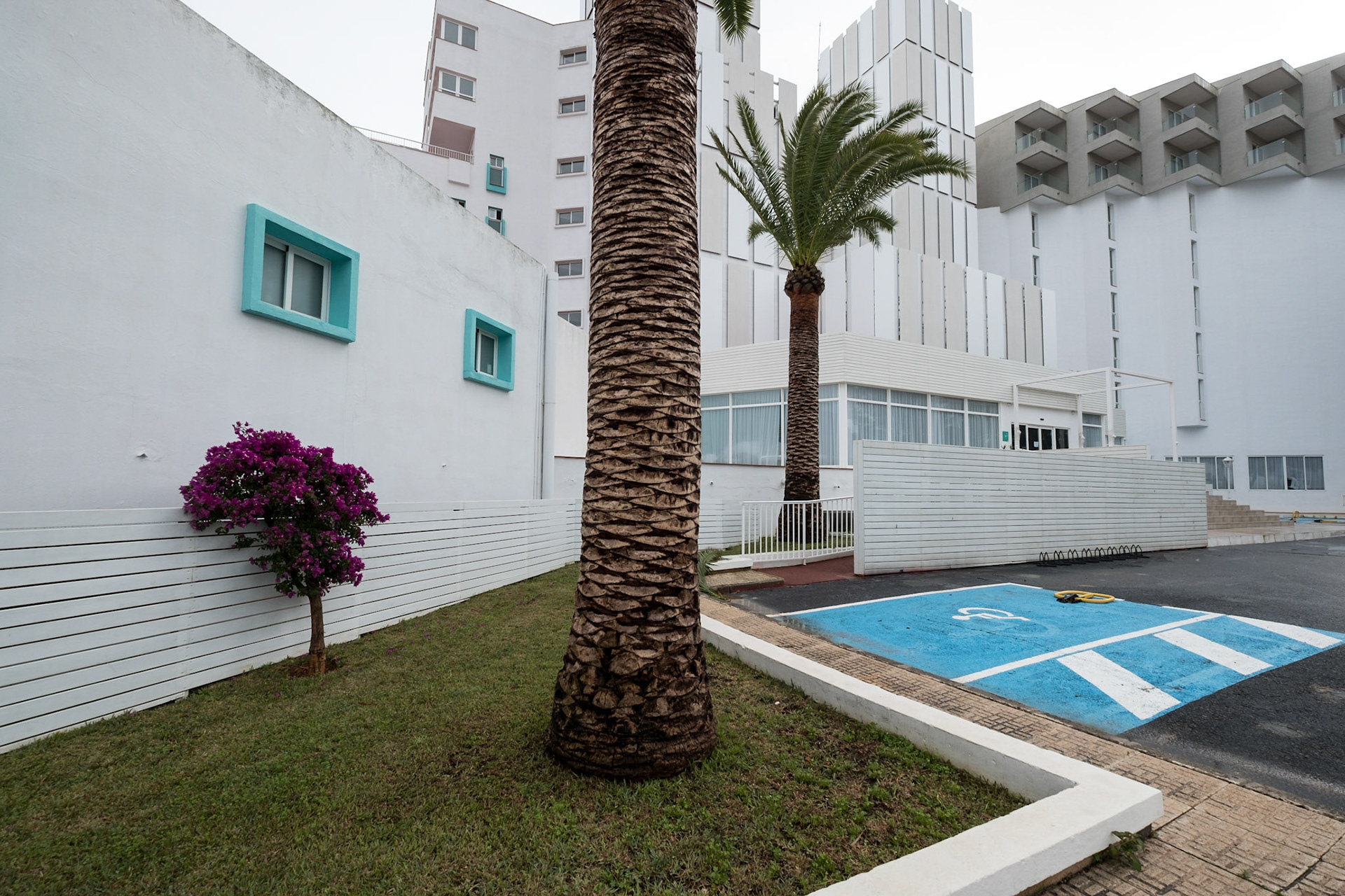 Bougainvillea, palm trees and unfinished hotel, Ibiza