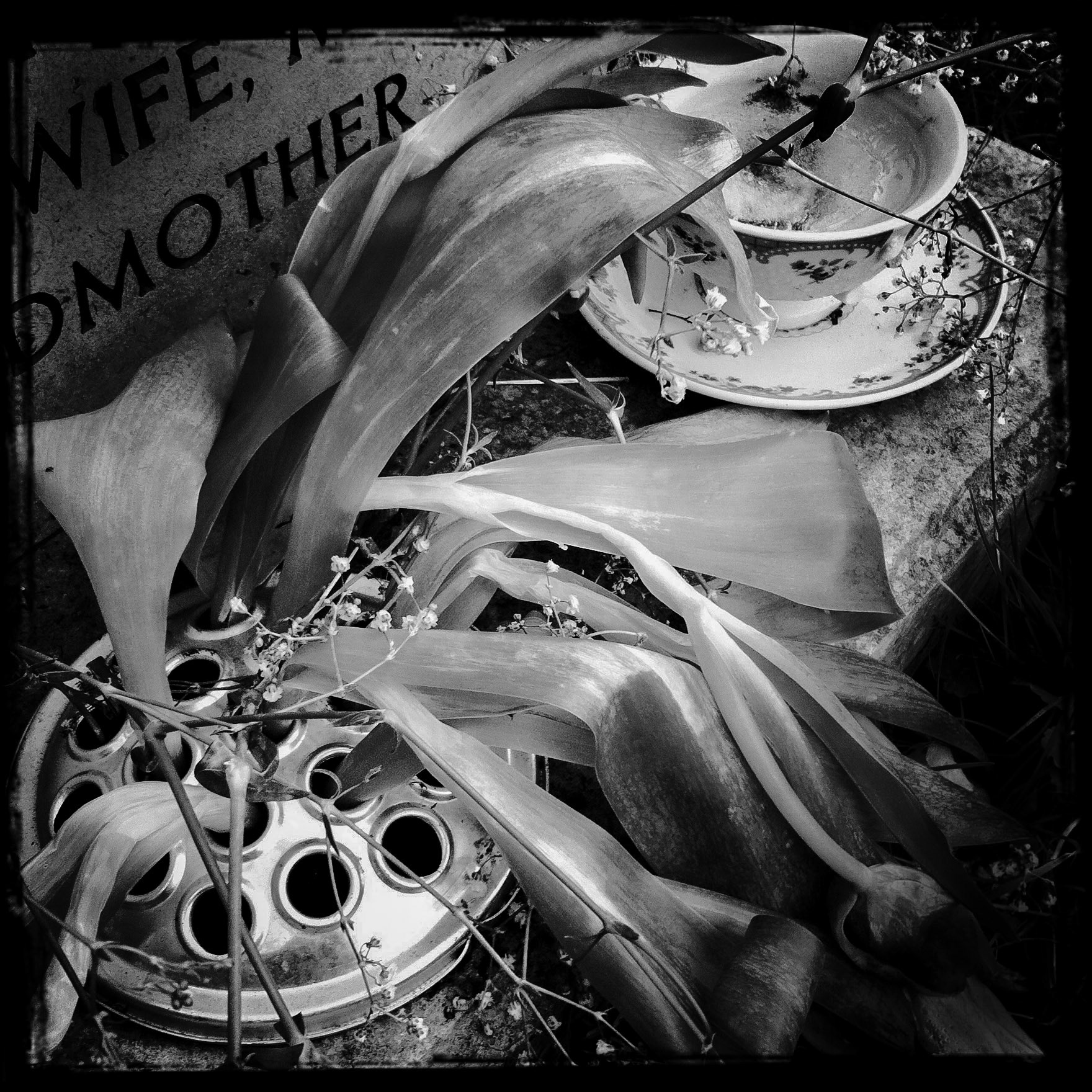 Rodden Church graveyard, 2012.