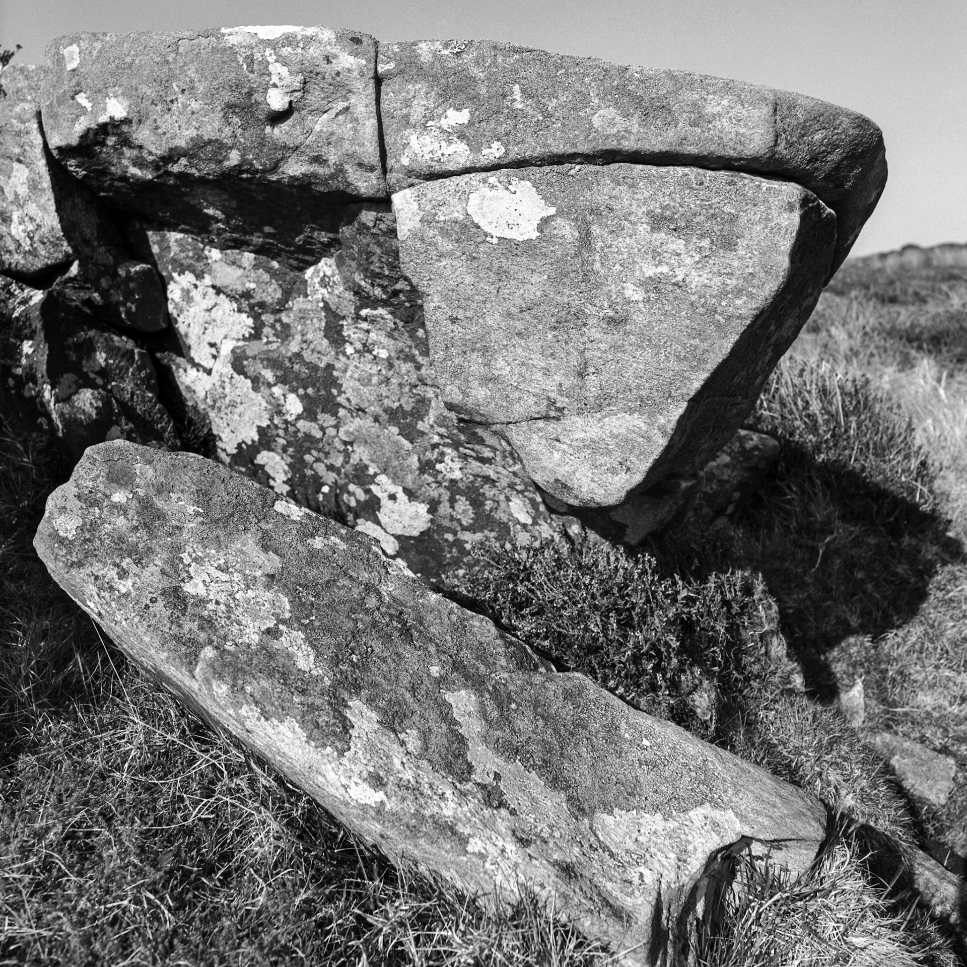Dumfries and Galloway, 2009.