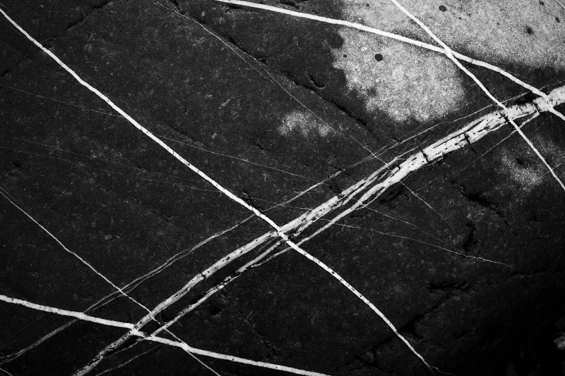 Clovelly beach, 2016.