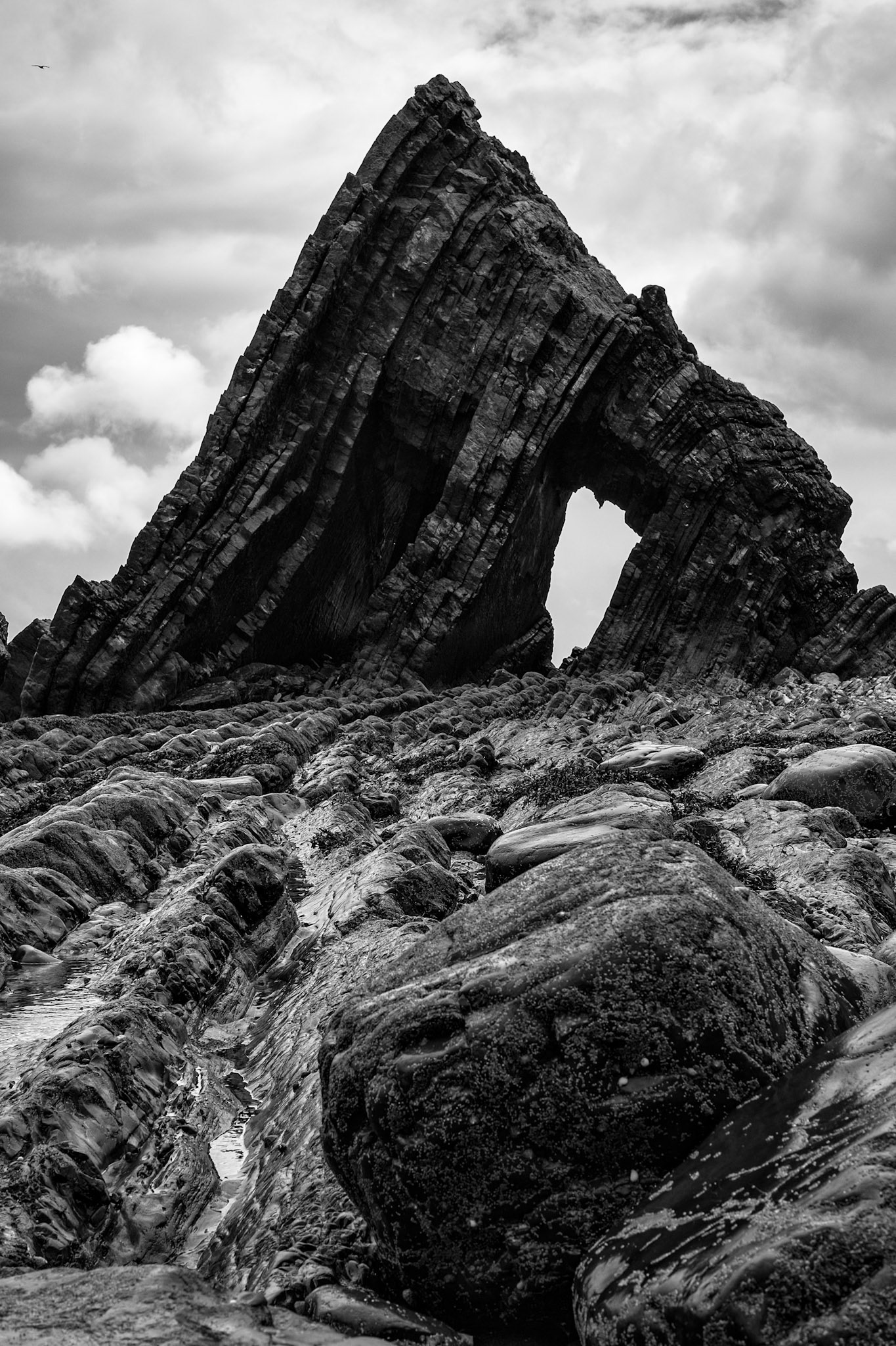 Mouthmill beach, 2016.