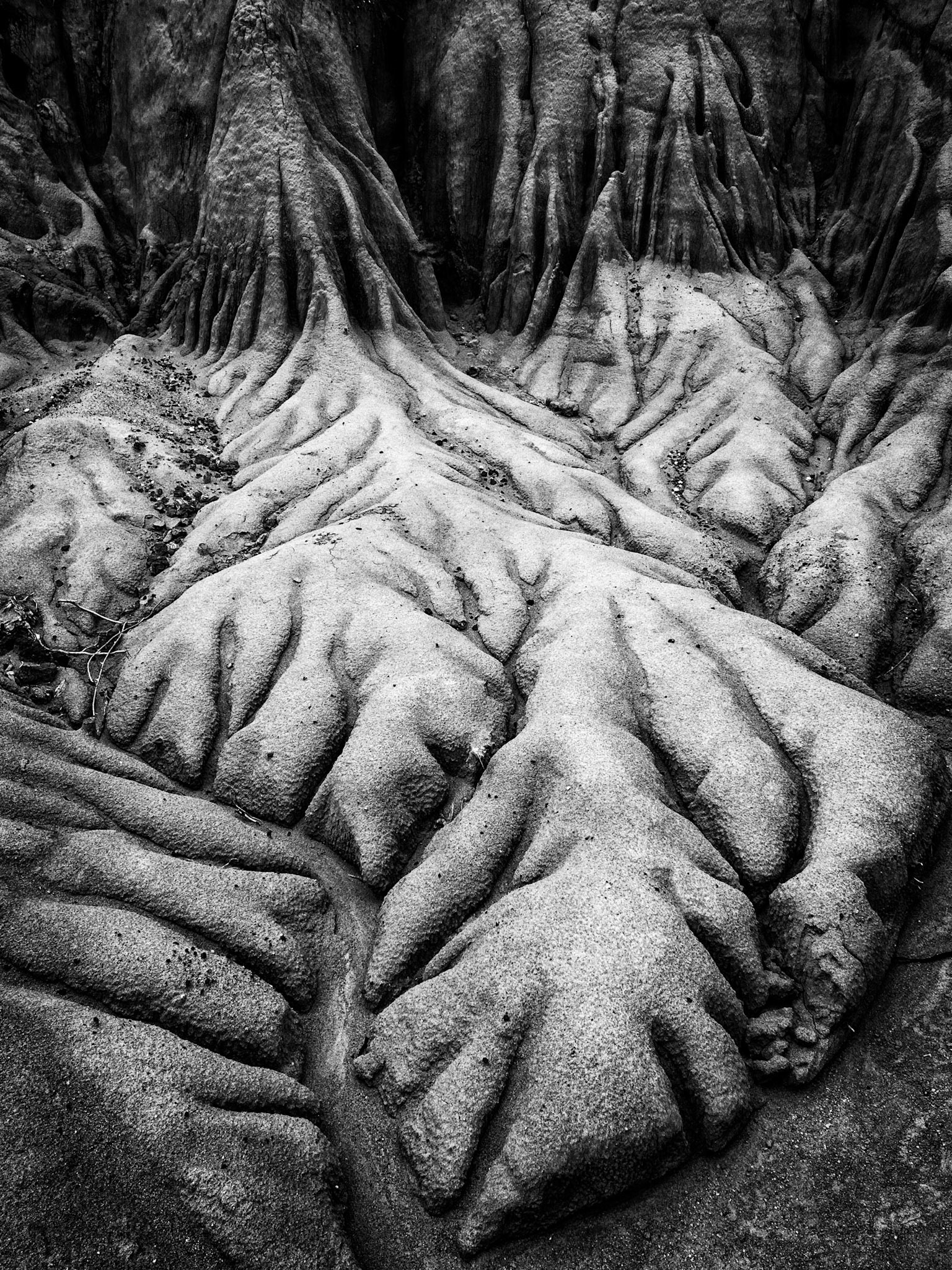 Desierto de Tatacoa