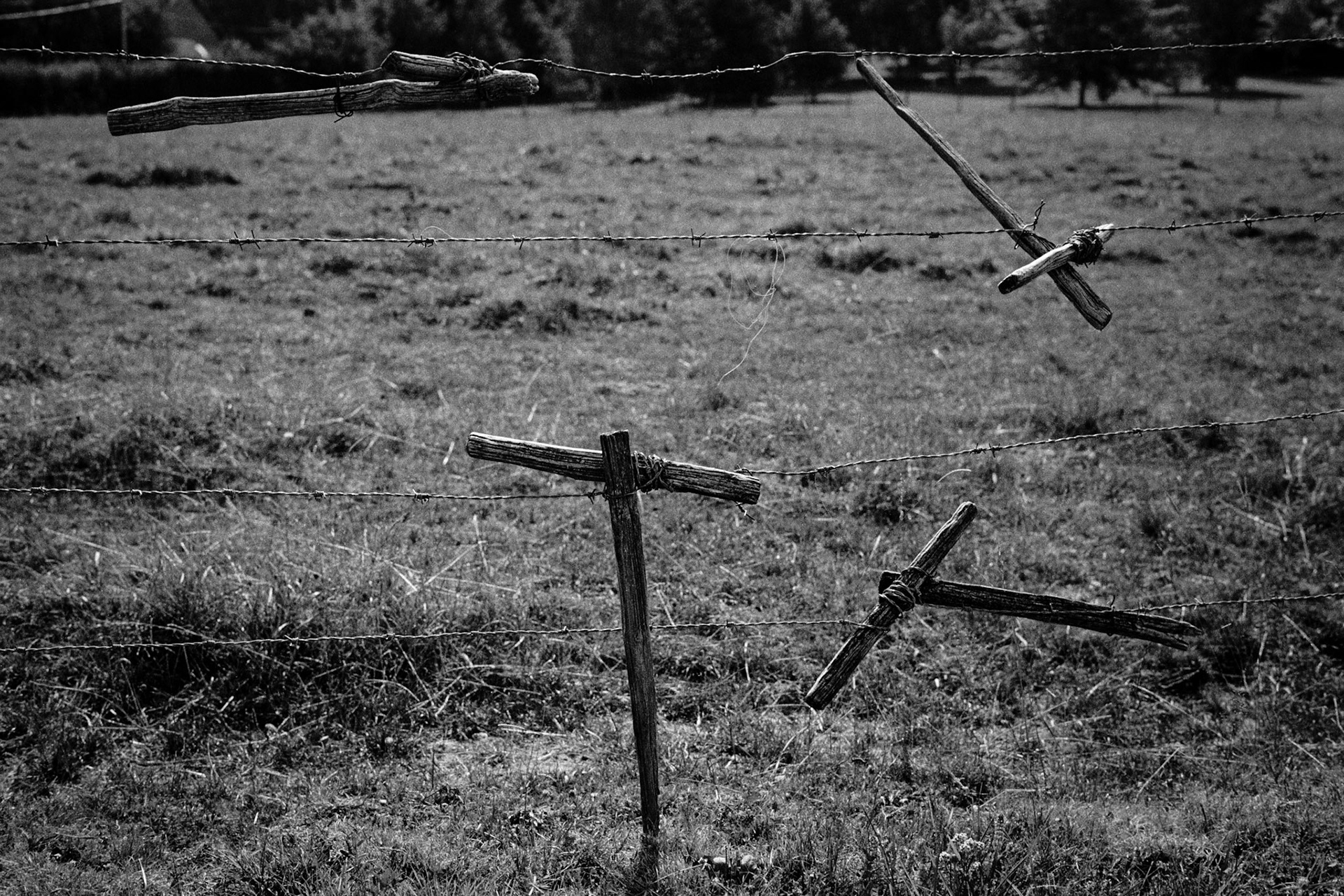 Saone-et-Loire, 2009.
