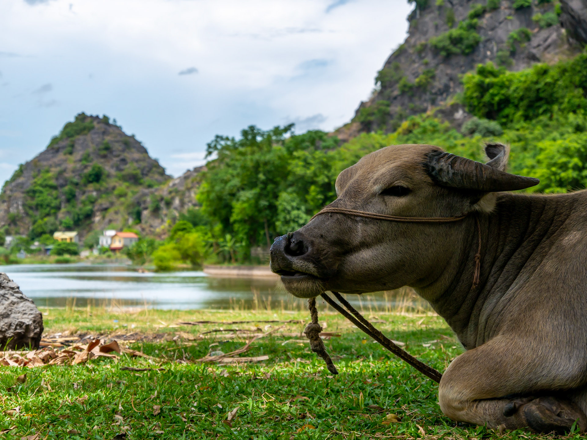 Near Ninh Bình (Vietnam)