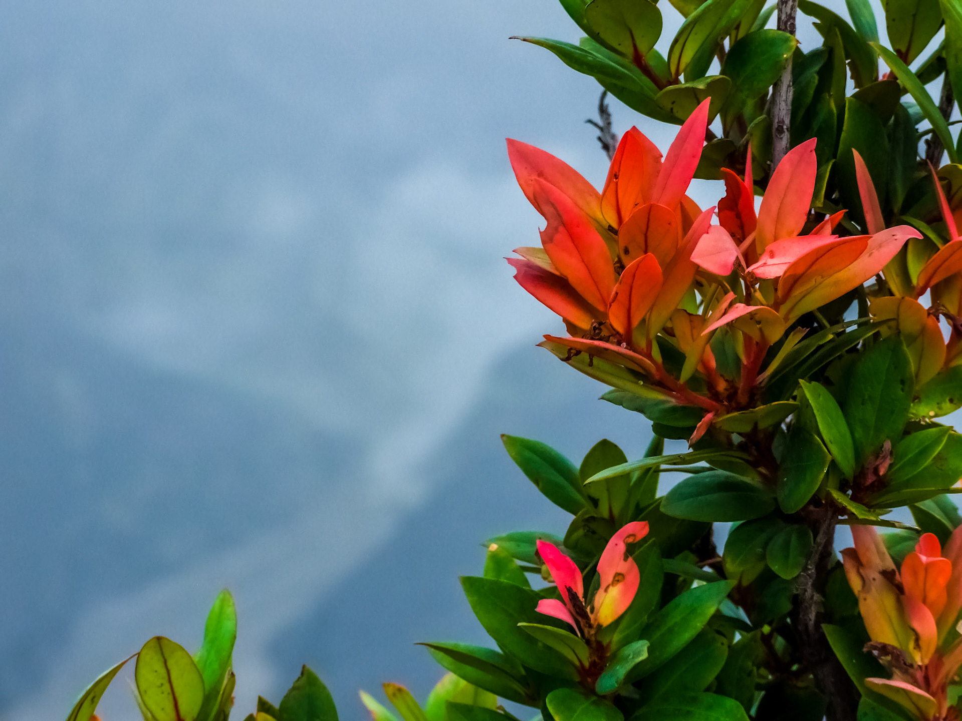 Tangkuban Perahu (Indonesia)