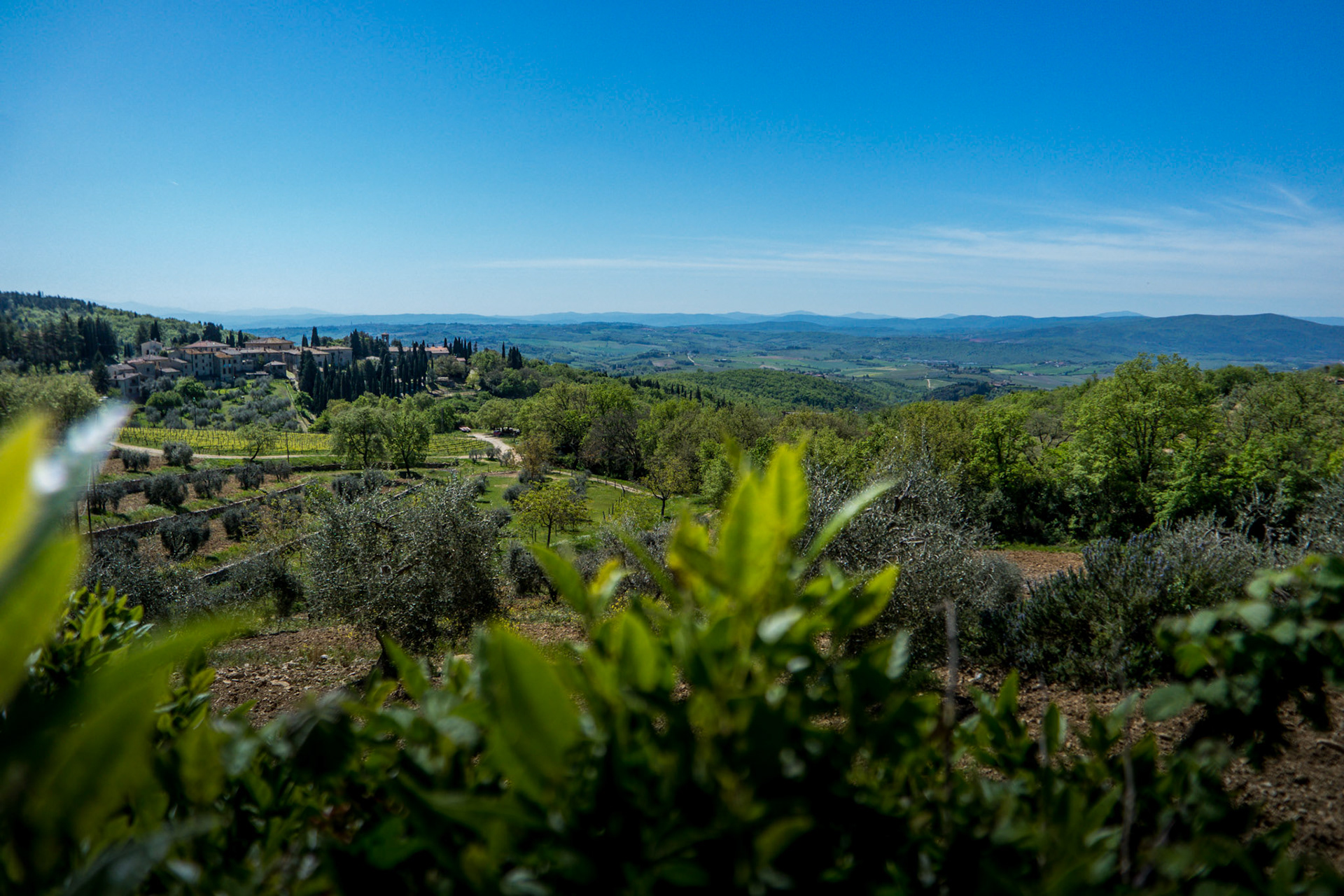 Near Castellina in Chianti (Italy)