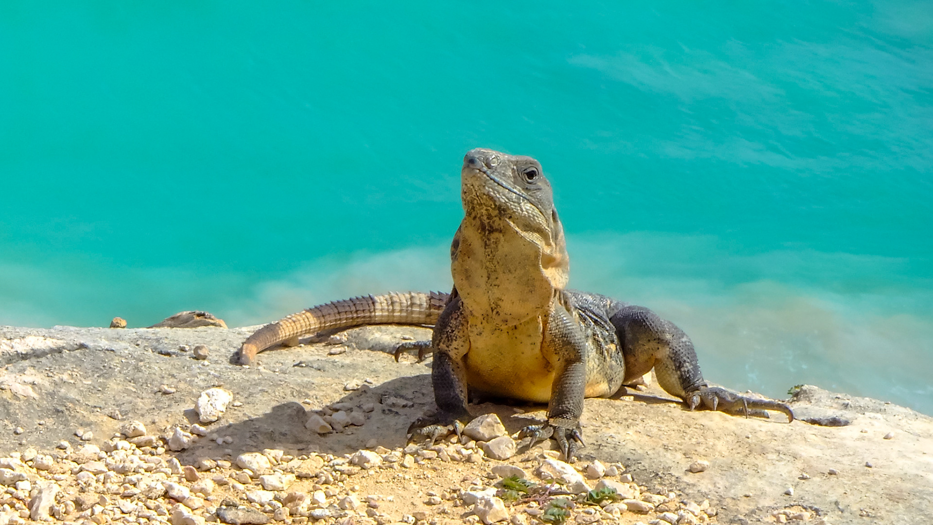 Tulum (México)