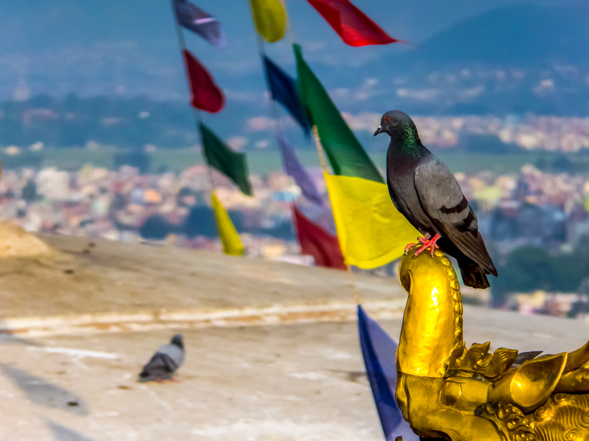 Kathmandu (Nepal)