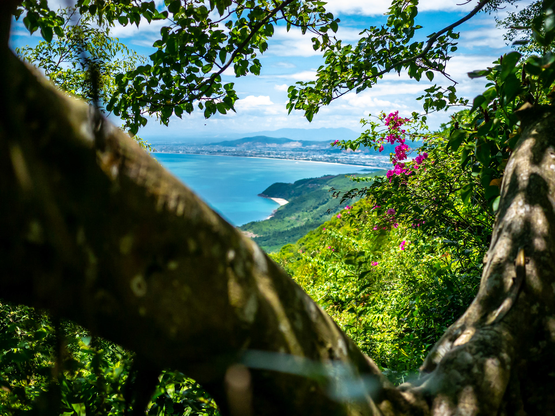 Danang (Vietnam)