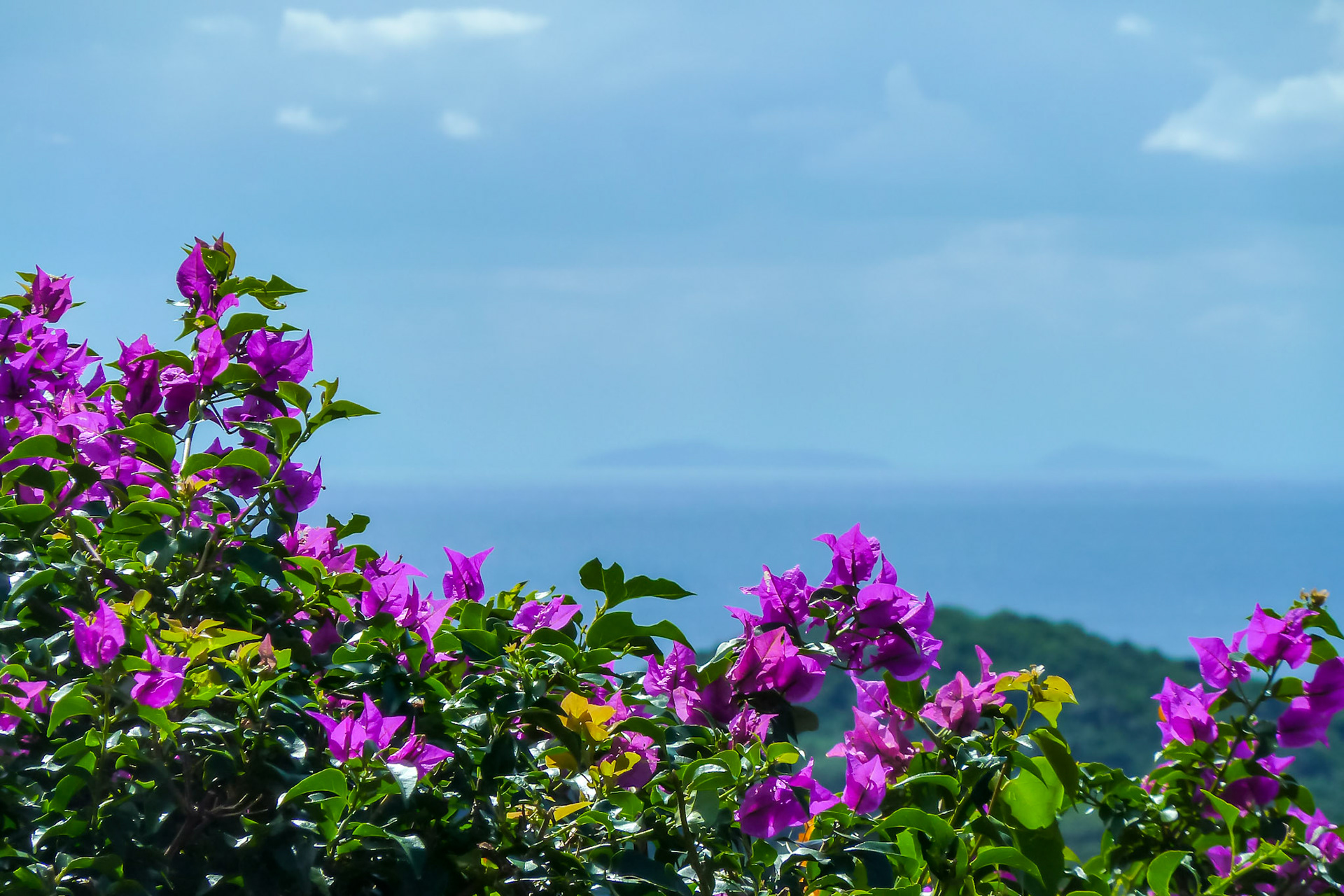 Roatan (Honduras)