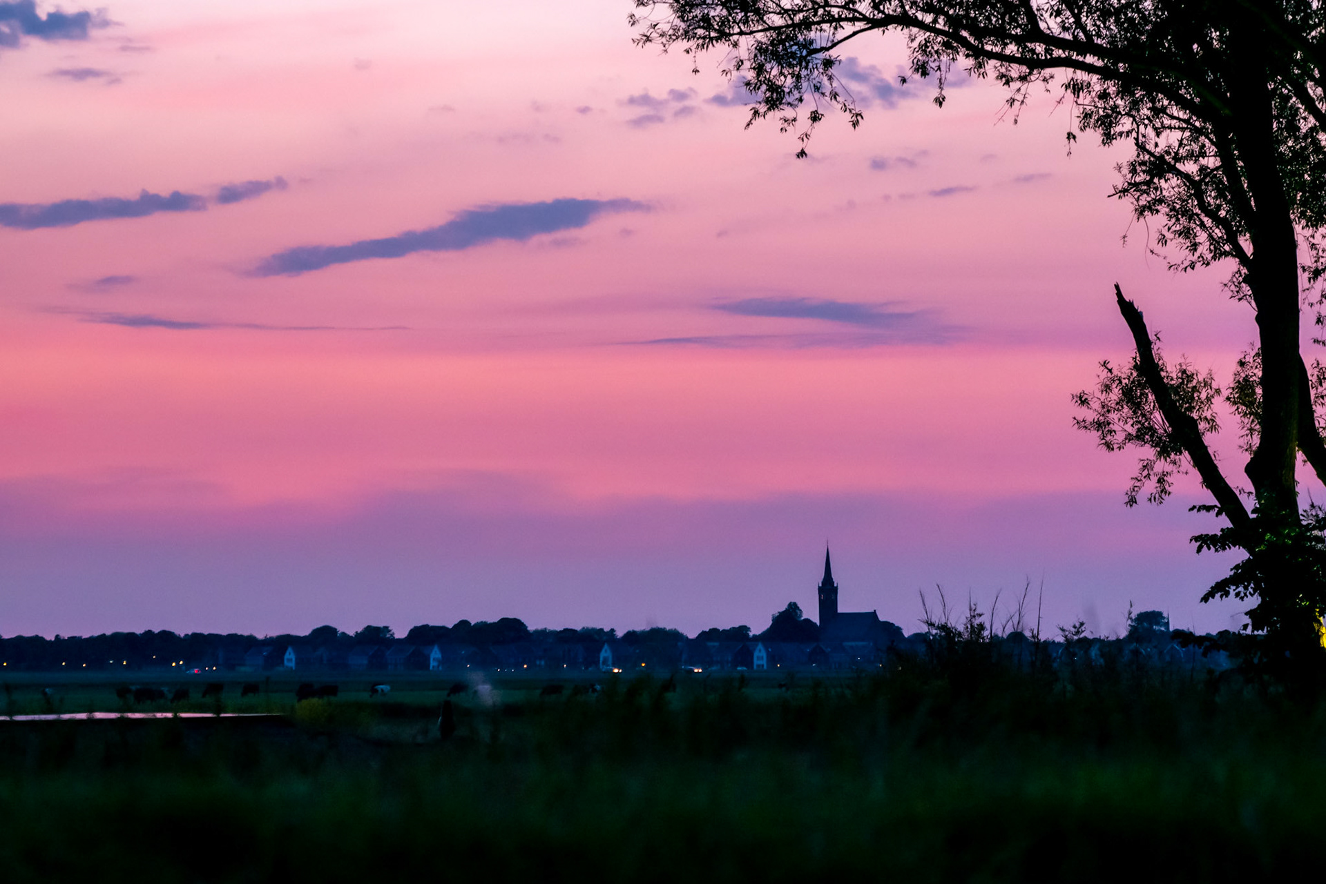 The Netherlands