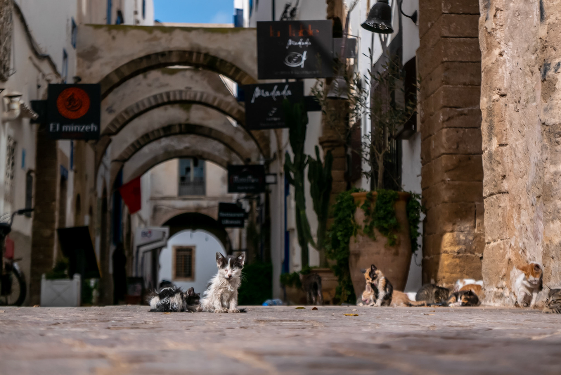 Essaouira (Morocco)