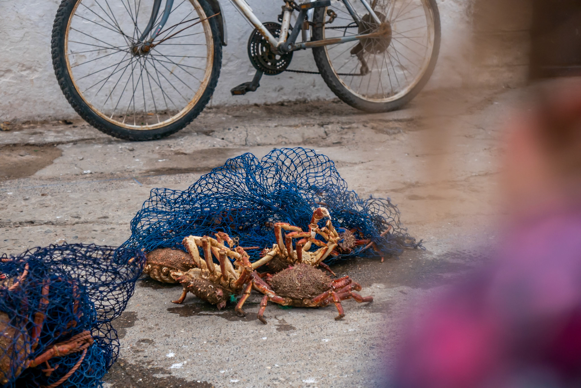 Essaouira (Morocco)