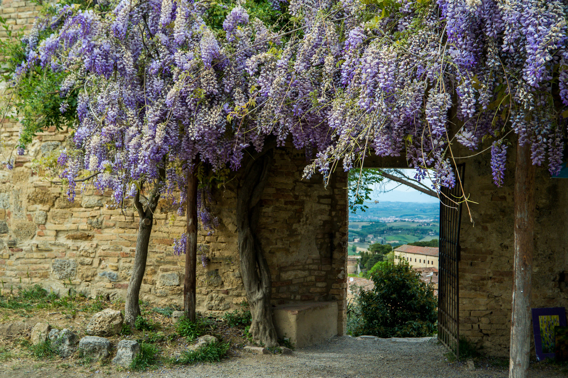 San Gimignano (Italy)