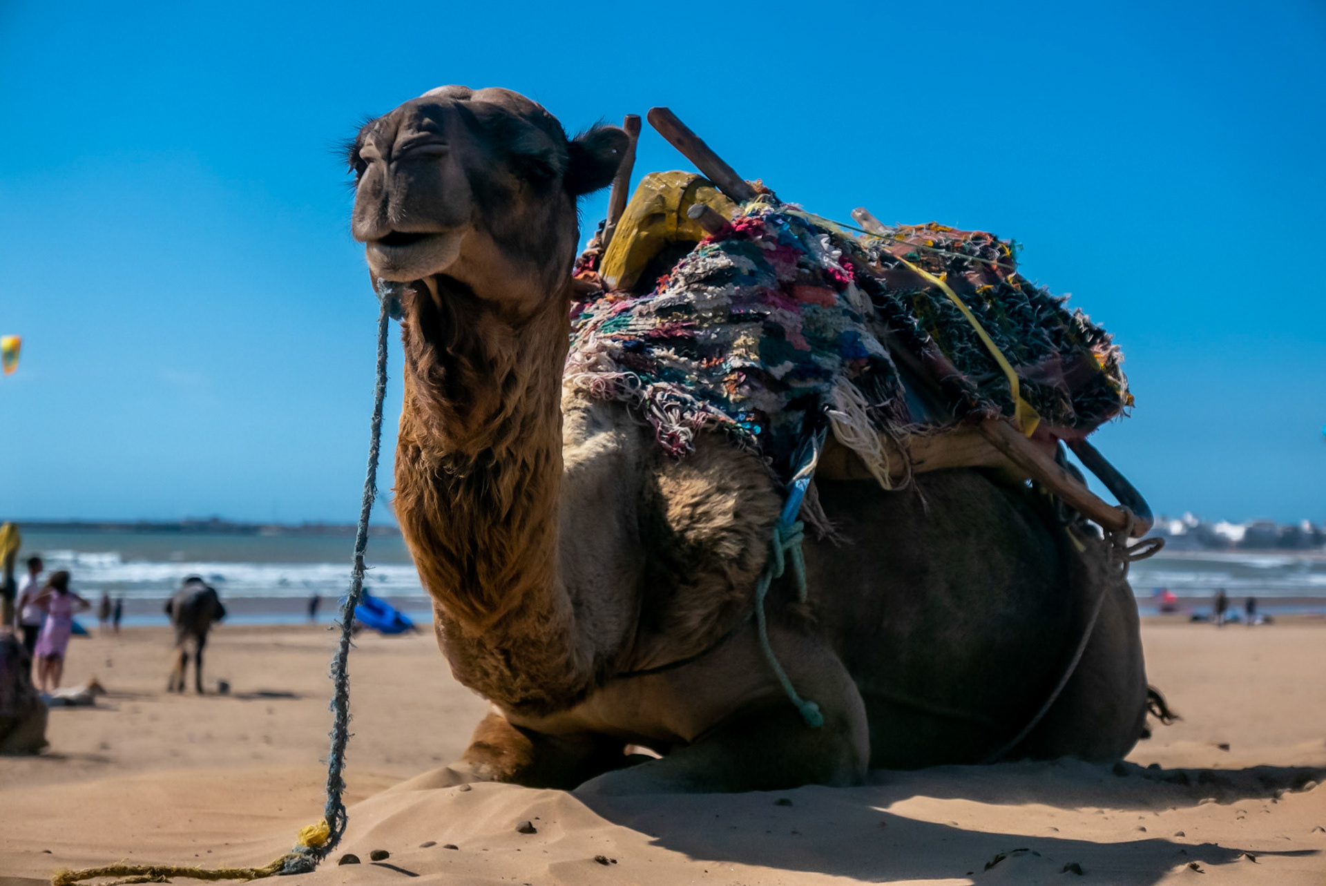 Essaouira (Morocco)