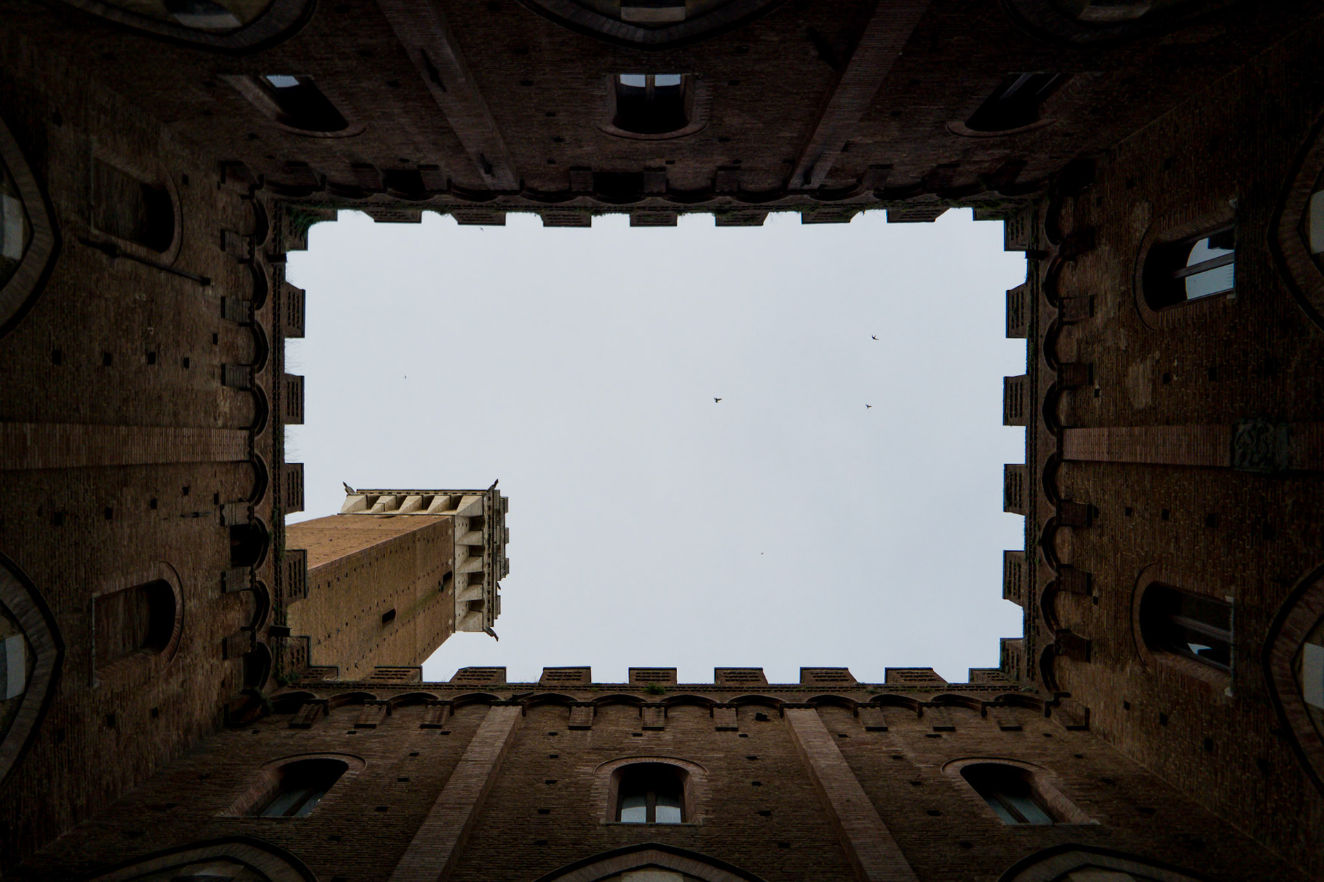 Sienna (Italy)