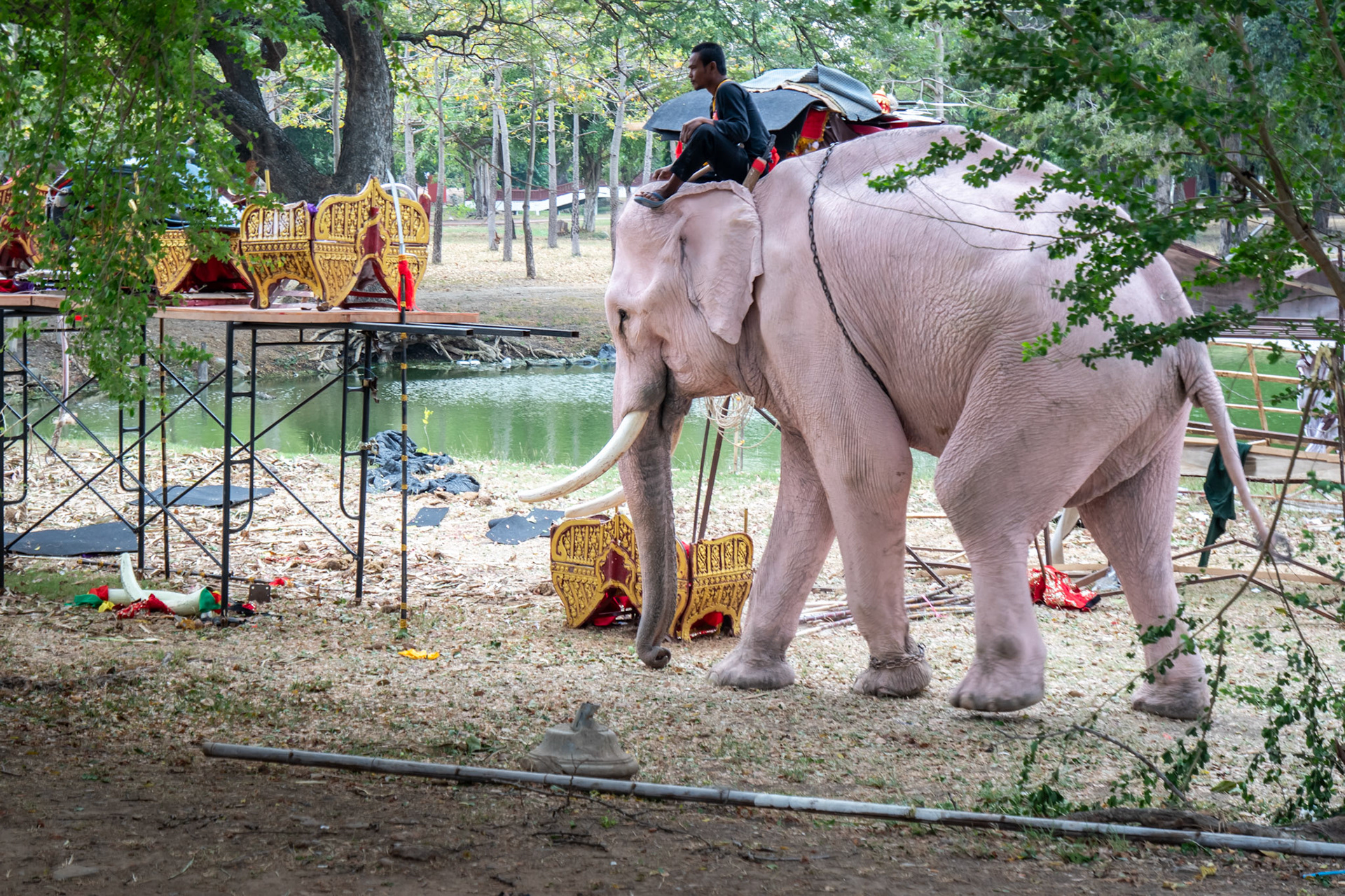 Ayutthaya (Thailand)