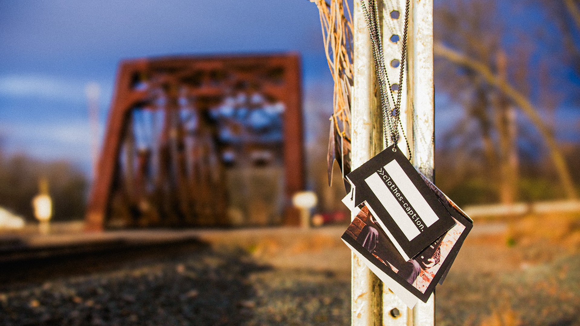 First Edition Hang Tags