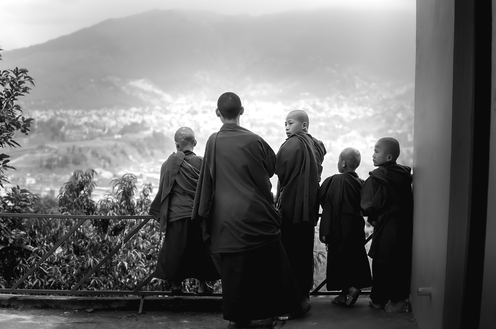 LITTLE MONKS IN KATHMANDU Kathmandu - Nepal - 2014  770€