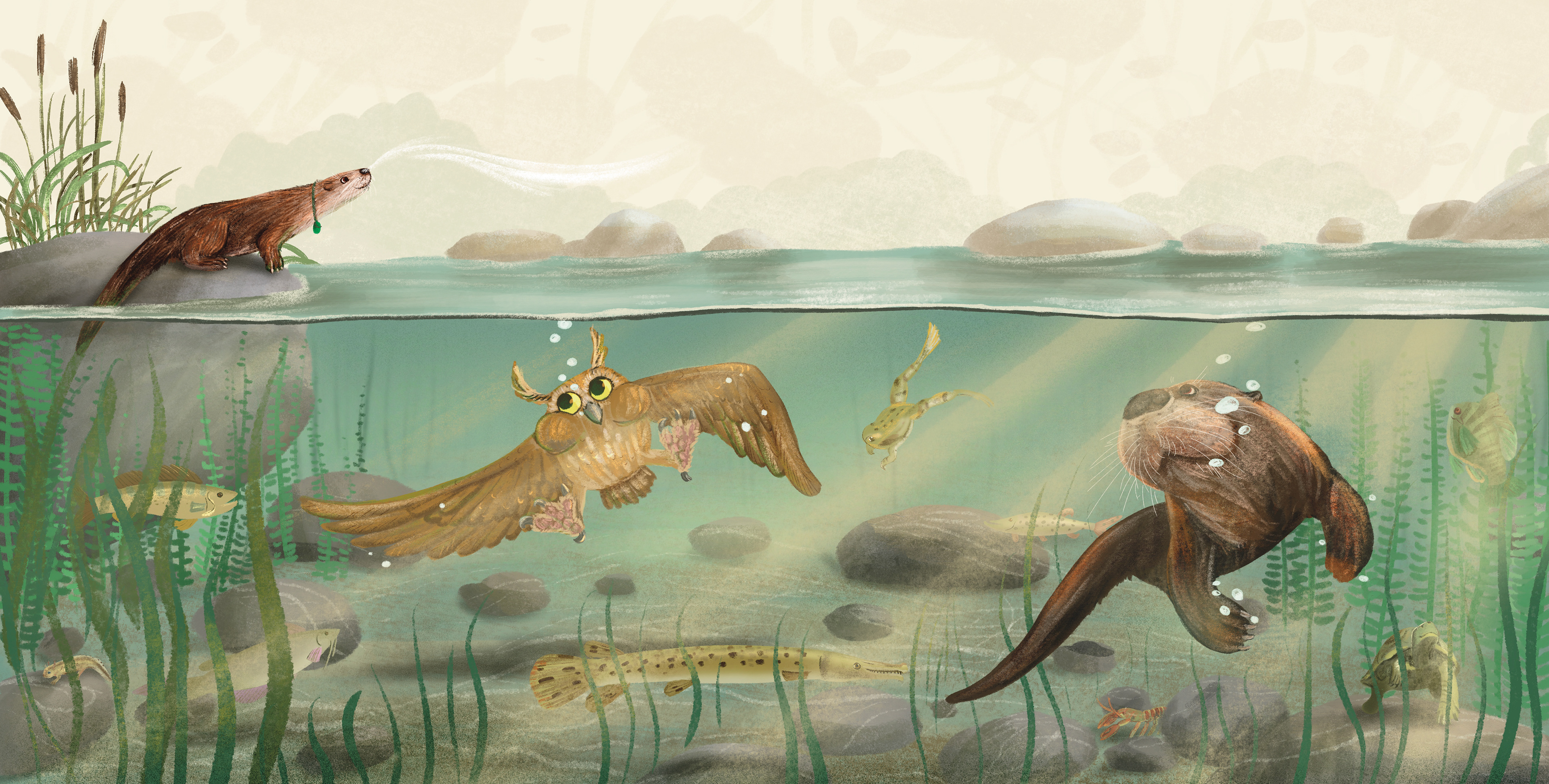 The Know It Owl and the Otter - interior