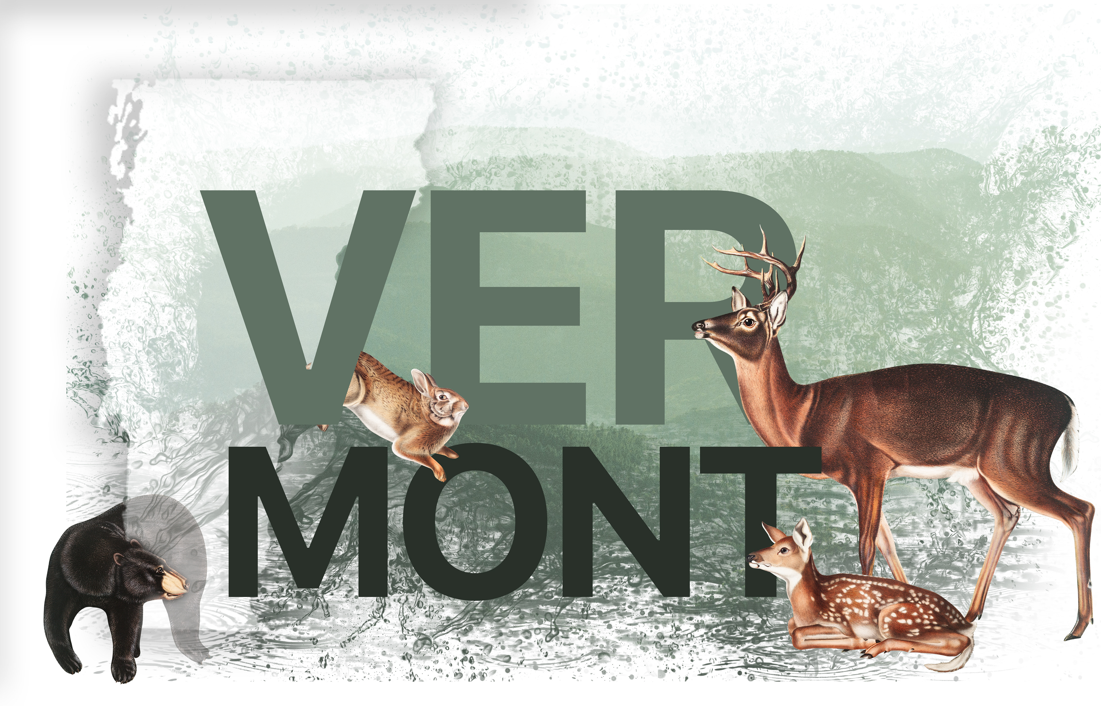 Commission for a Vermont T-Shirt Featuring Wildlife Detail