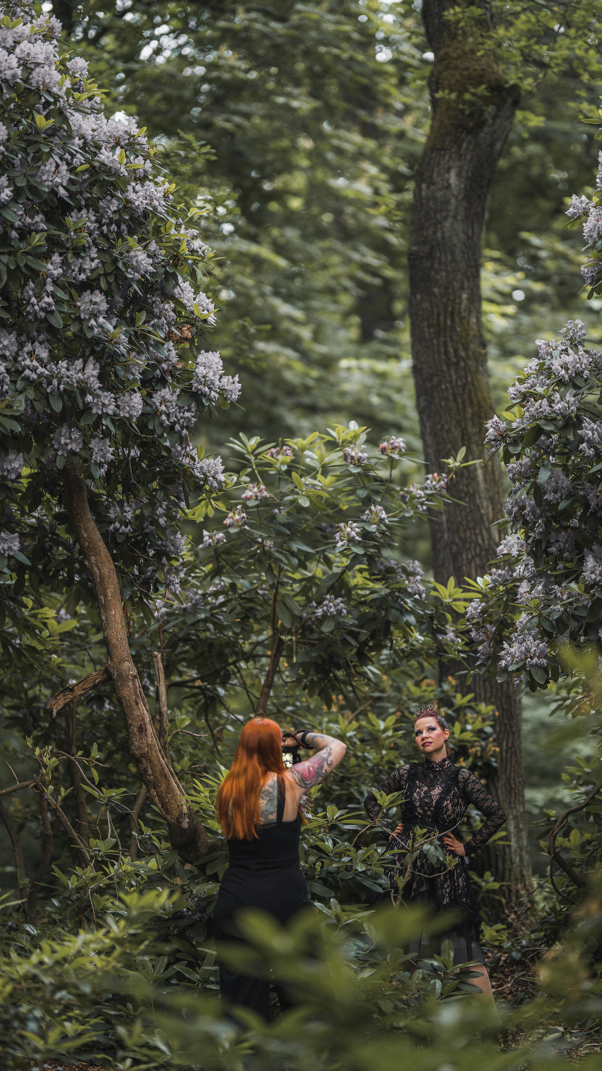 Photo by Dirk Schmerler TLB Fotografie