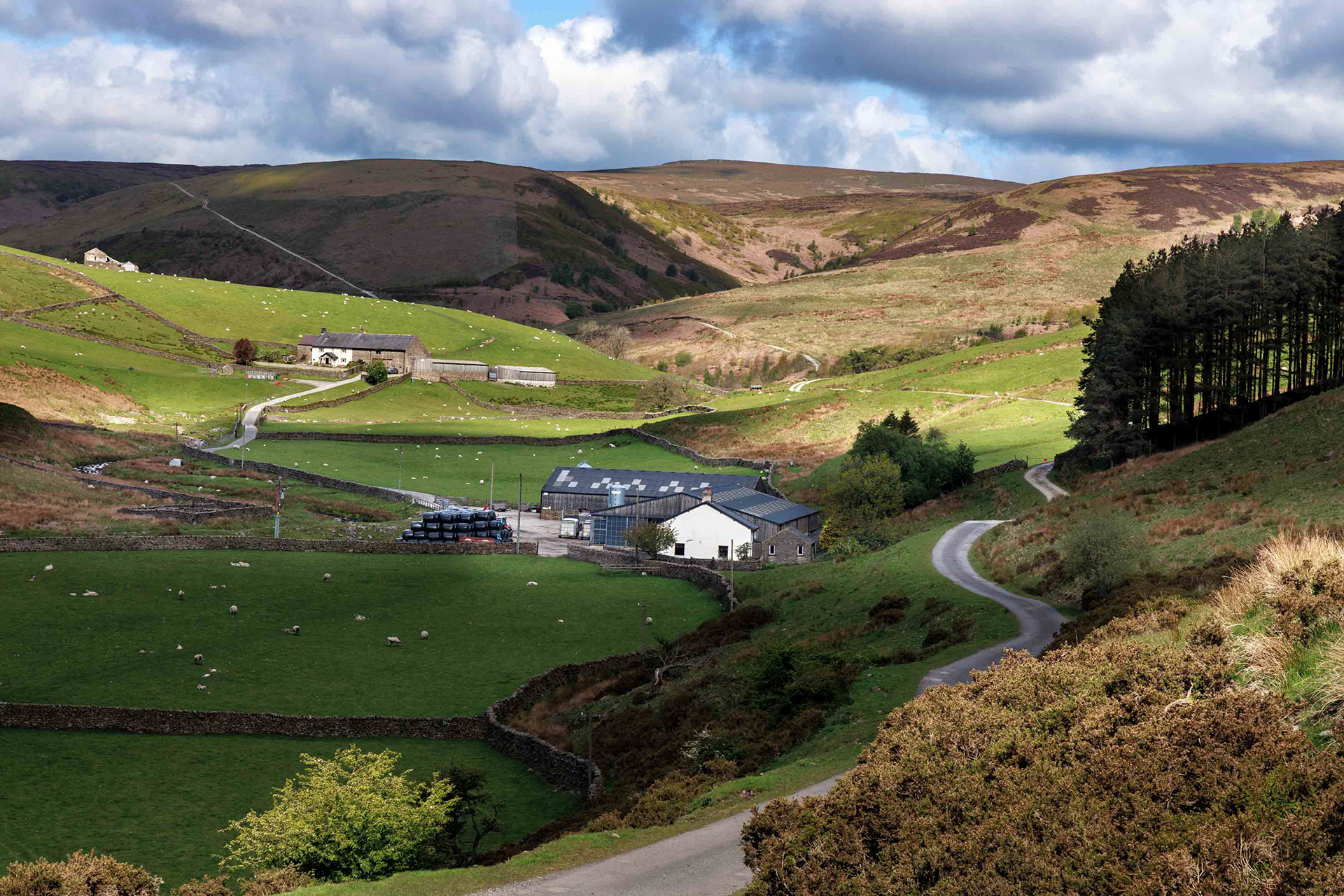 Dunsop Valley 1
