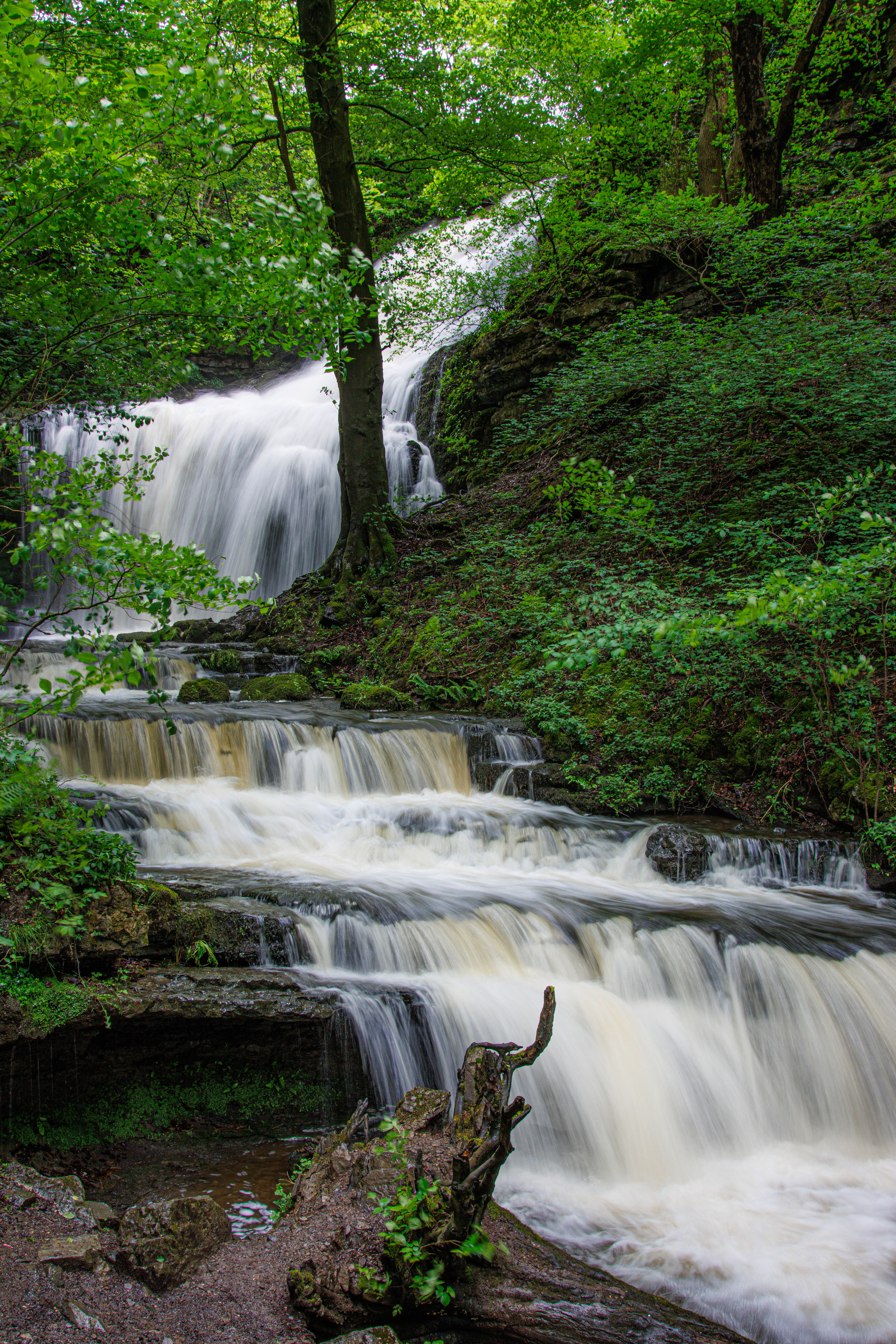 No60 Scaleber Force